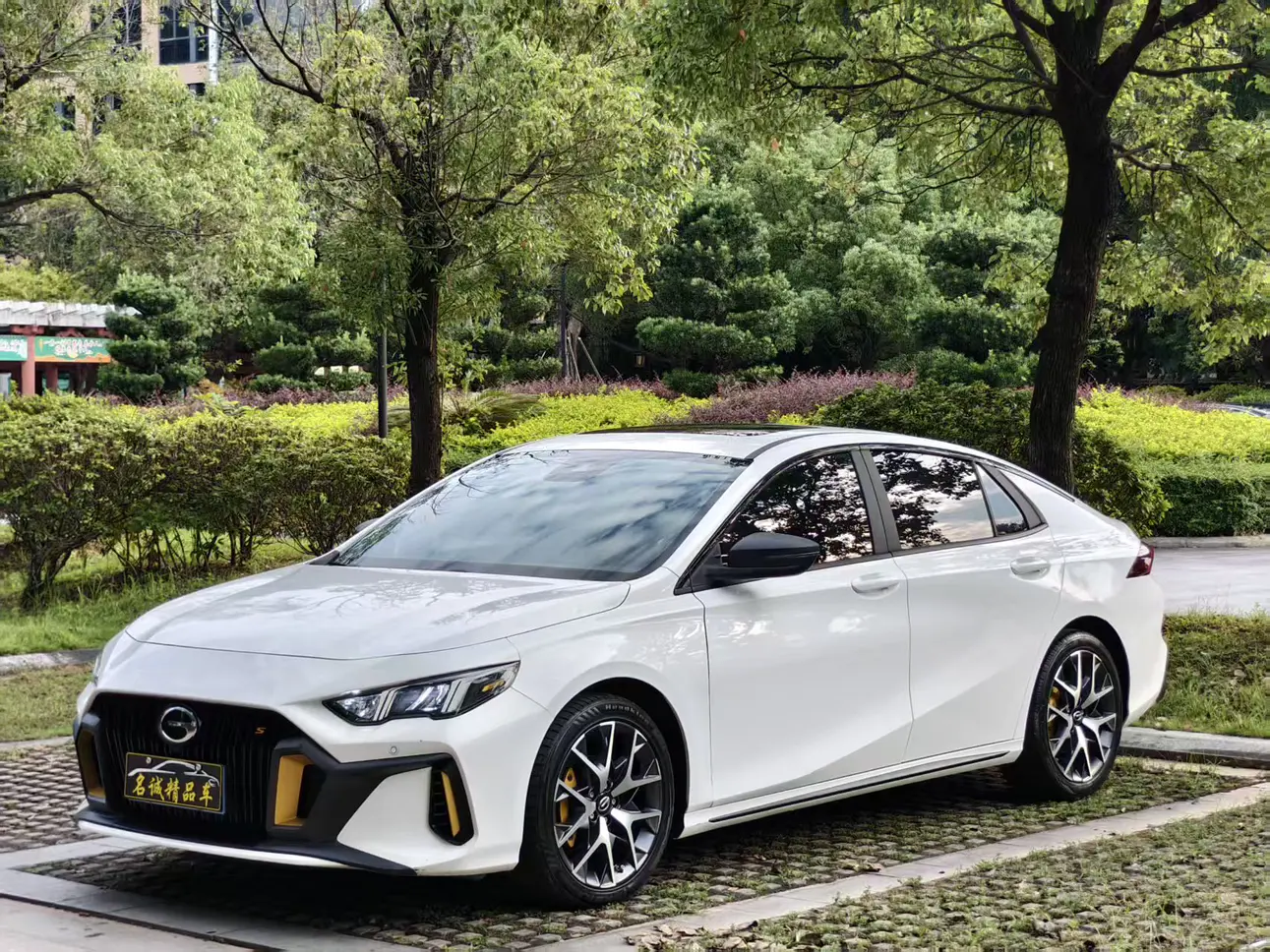 GAC Shadow Leopard  из Китая