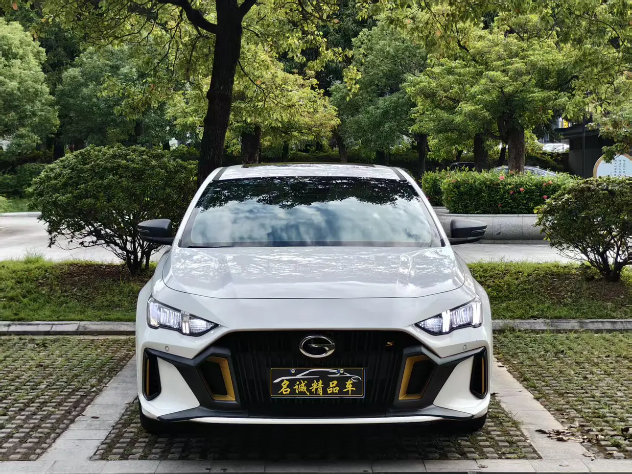 GAC Shadow Leopard  из Китая