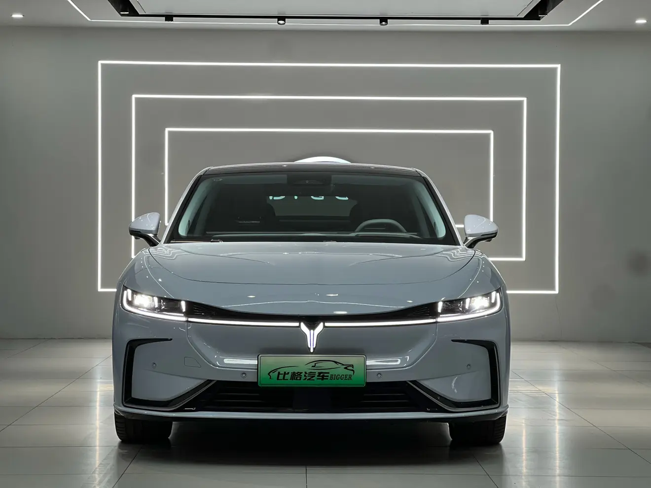 Voyah Passion EV  из Китая