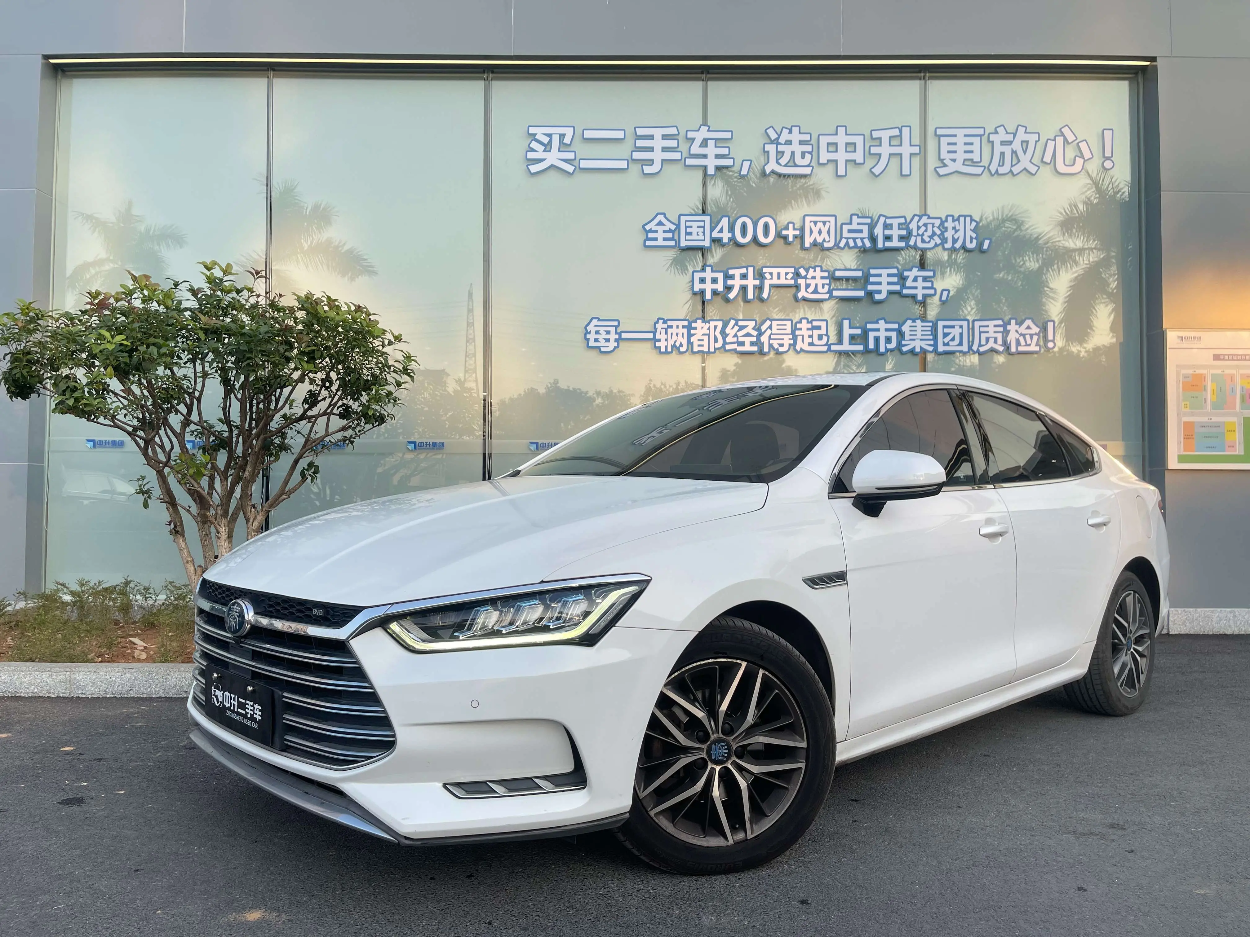 BYD Qin Pro DM  из Китая