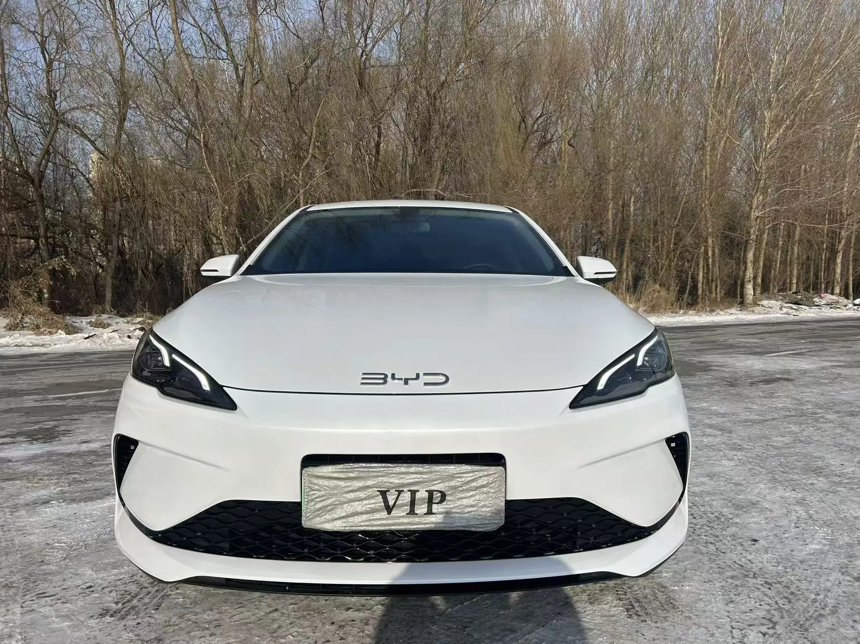 BYD Seal 05DM  из Китая