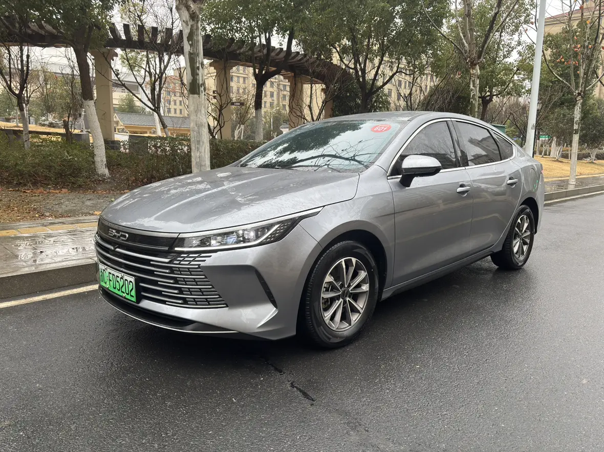 BYD Destroyer 05  из Китая