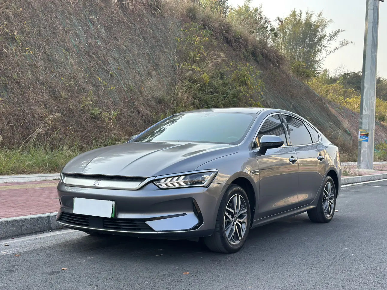 BYD Qin PLUS EV  из Китая