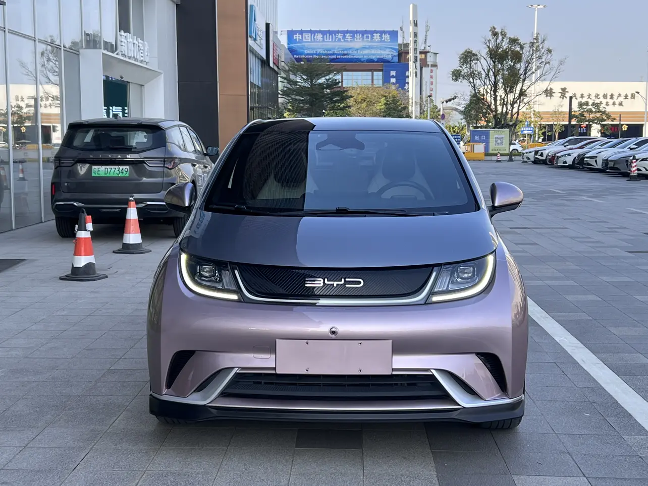 BYD Dolphin  из Китая