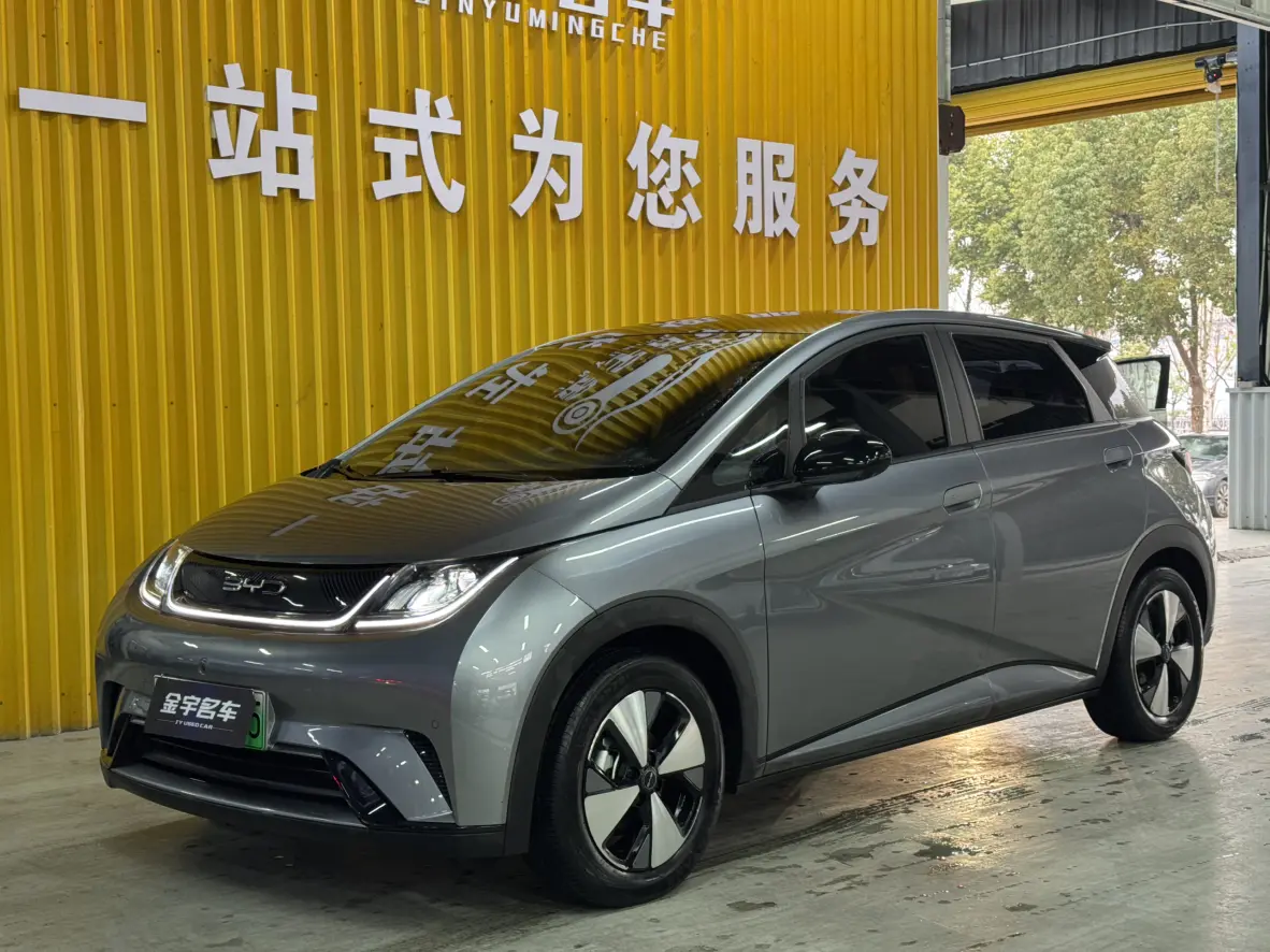 BYD Dolphin  из Китая