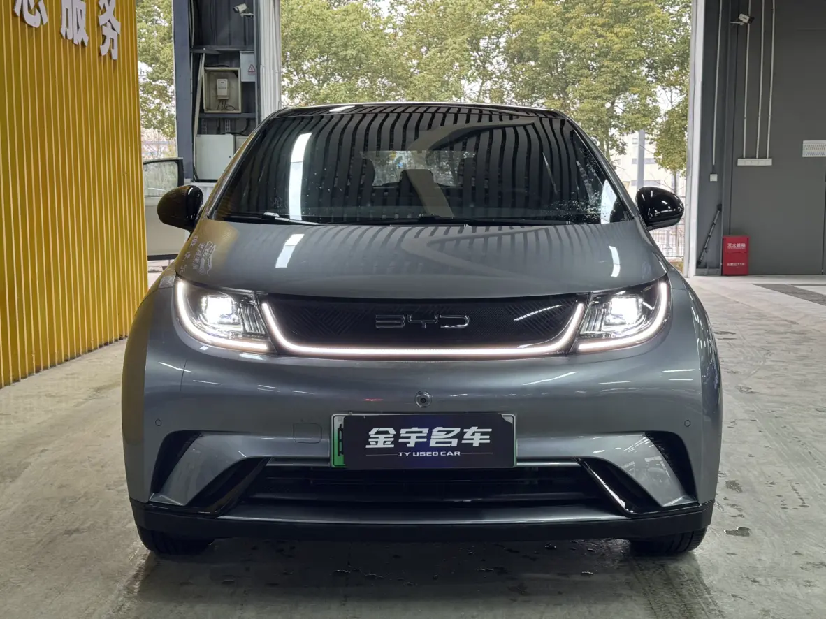 BYD Dolphin  из Китая