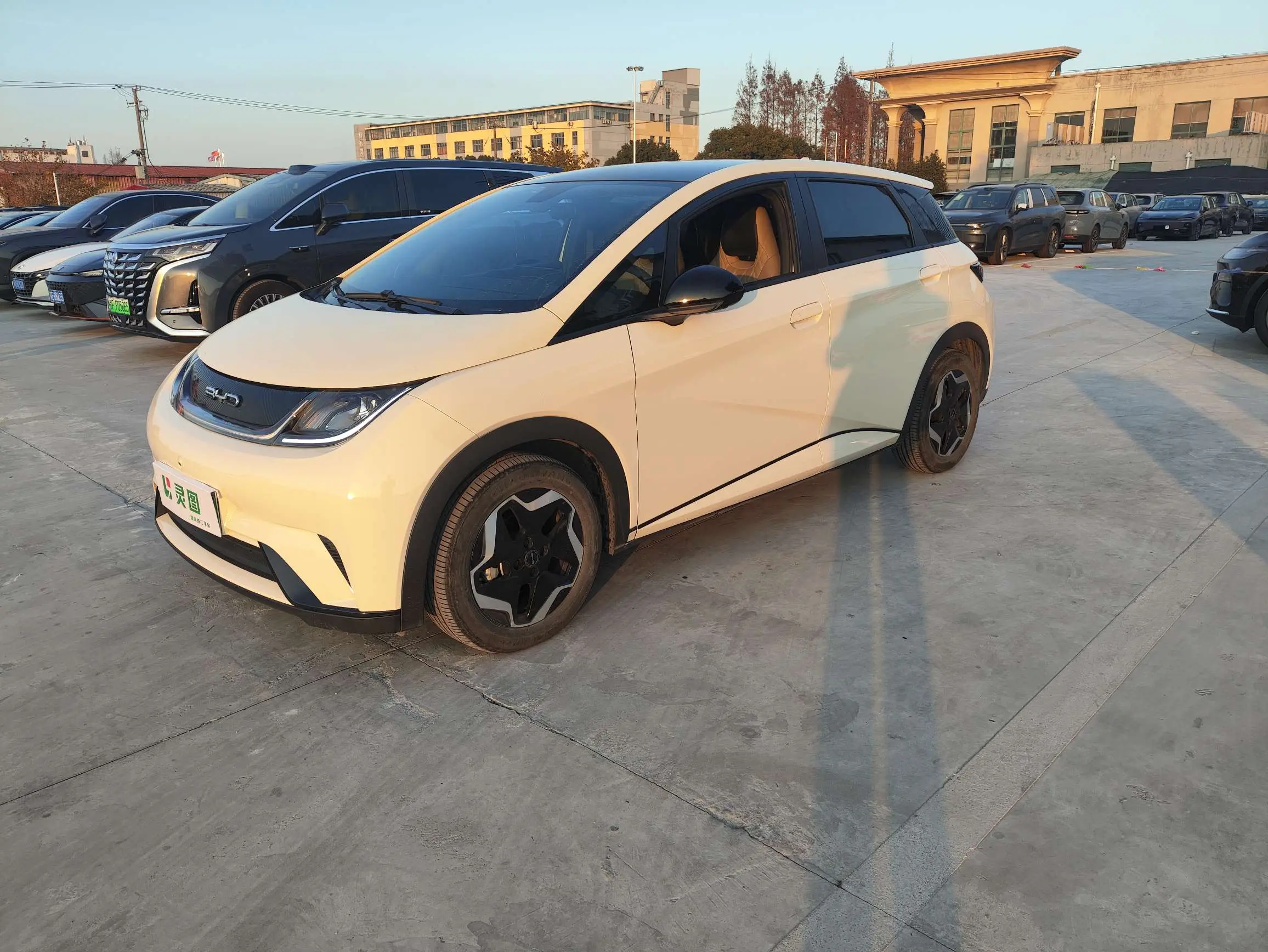 BYD Dolphin  из Китая