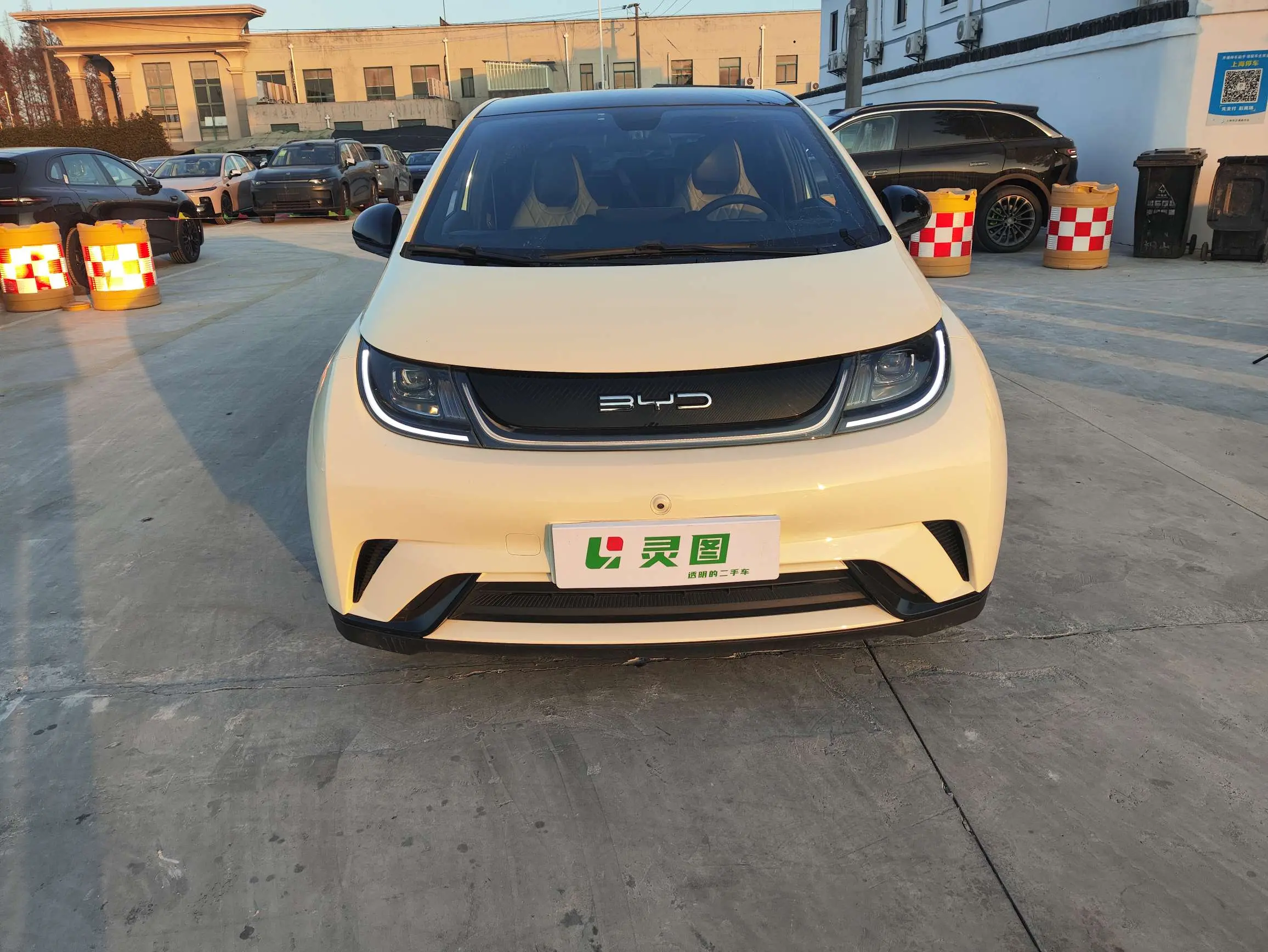 BYD Dolphin  из Китая