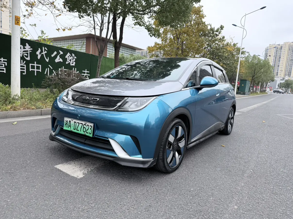BYD Dolphin  из Китая