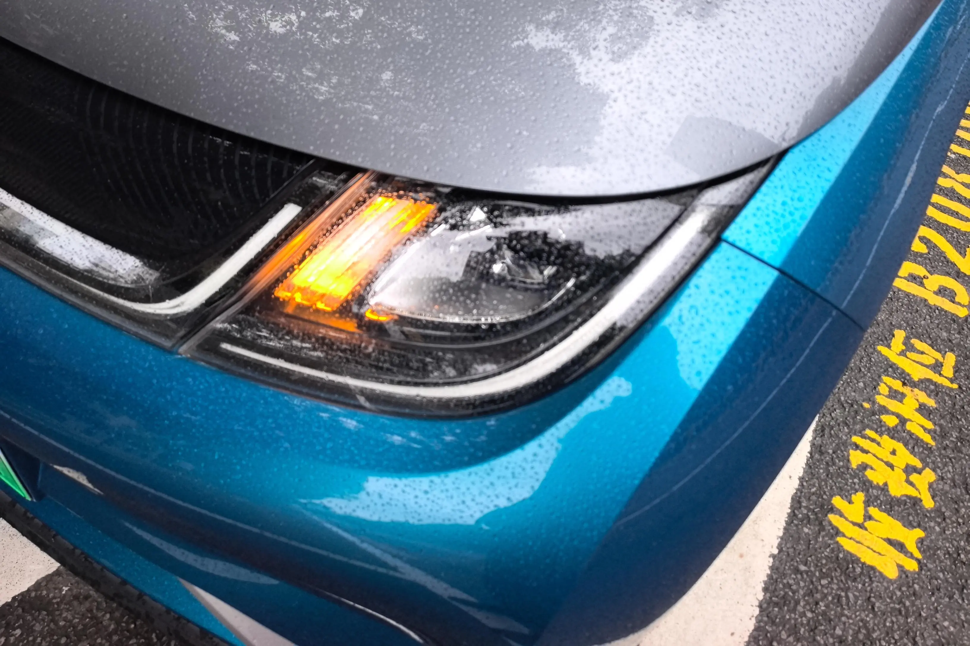 BYD Dolphin  из Китая