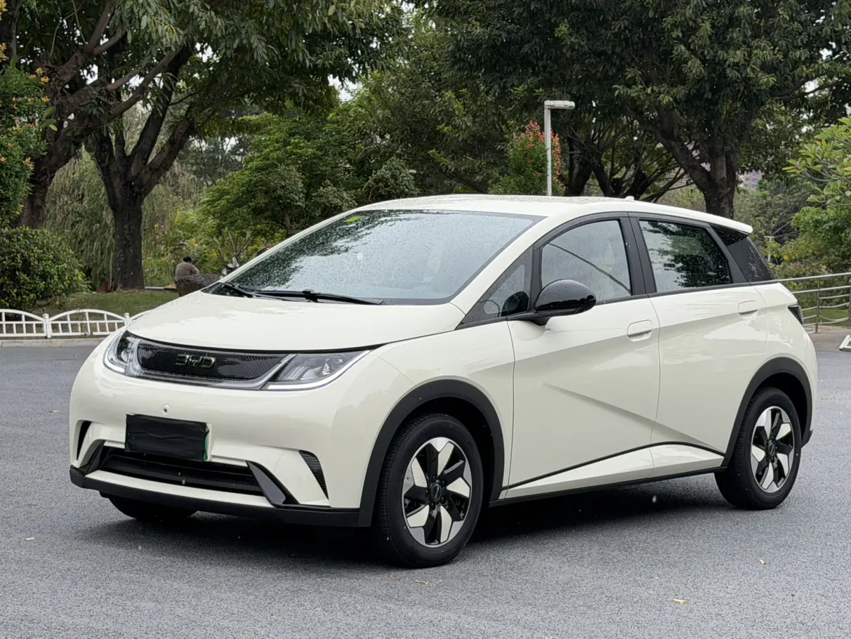 BYD Dolphin  из Китая