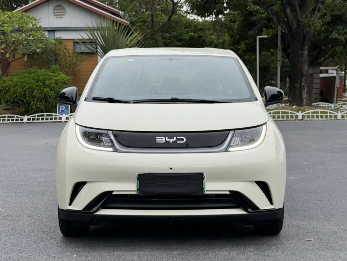 BYD Dolphin  из Китая