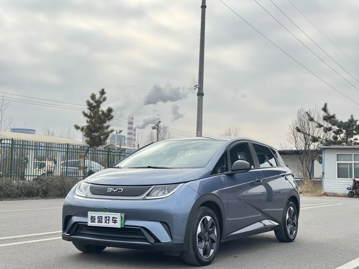 BYD Dolphin  из Китая
