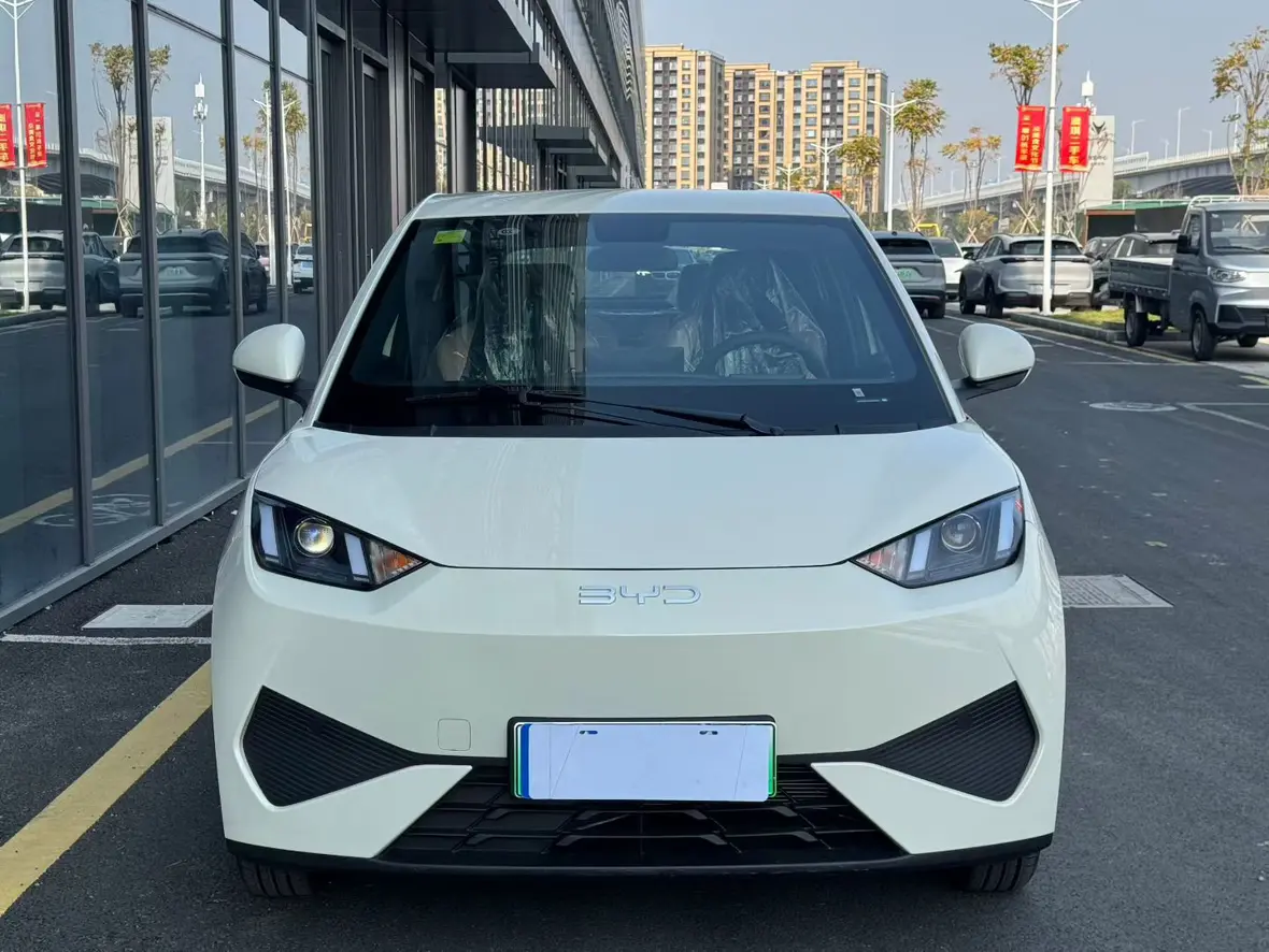 BYD Seagull  из Китая