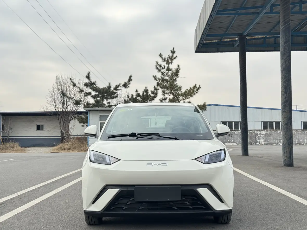 BYD Seagull  из Китая