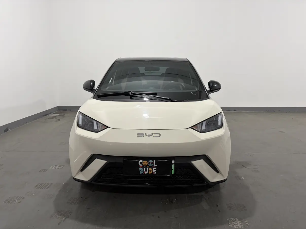 BYD Seagull  из Китая