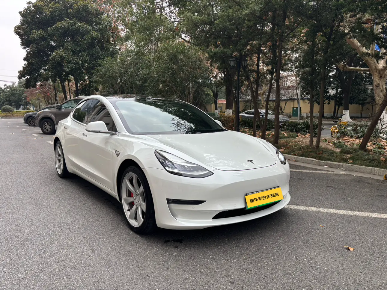 Tesla Model 3  из Китая
