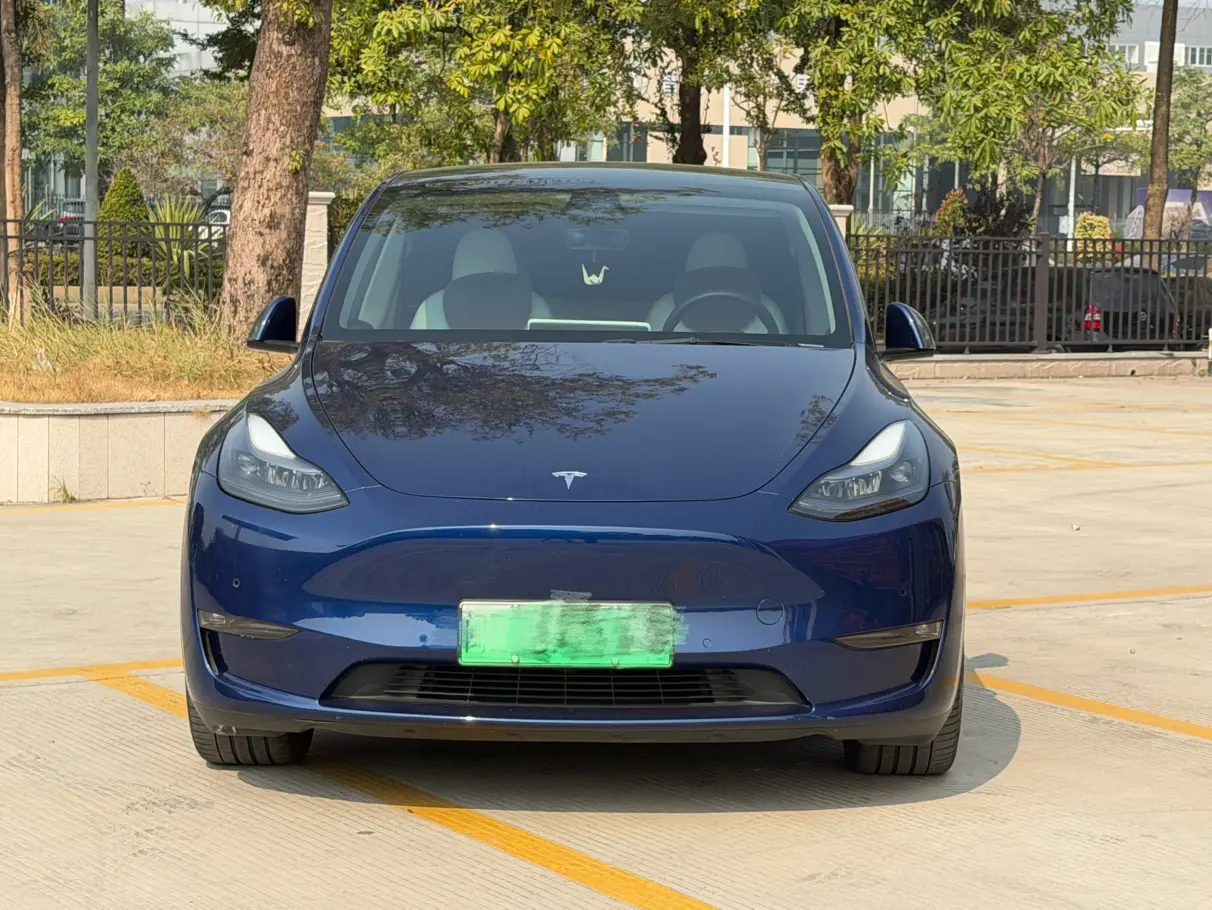 Tesla Model Y  из Китая