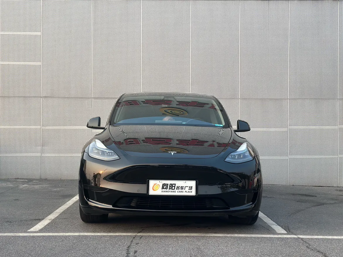 Tesla Model Y  из Китая