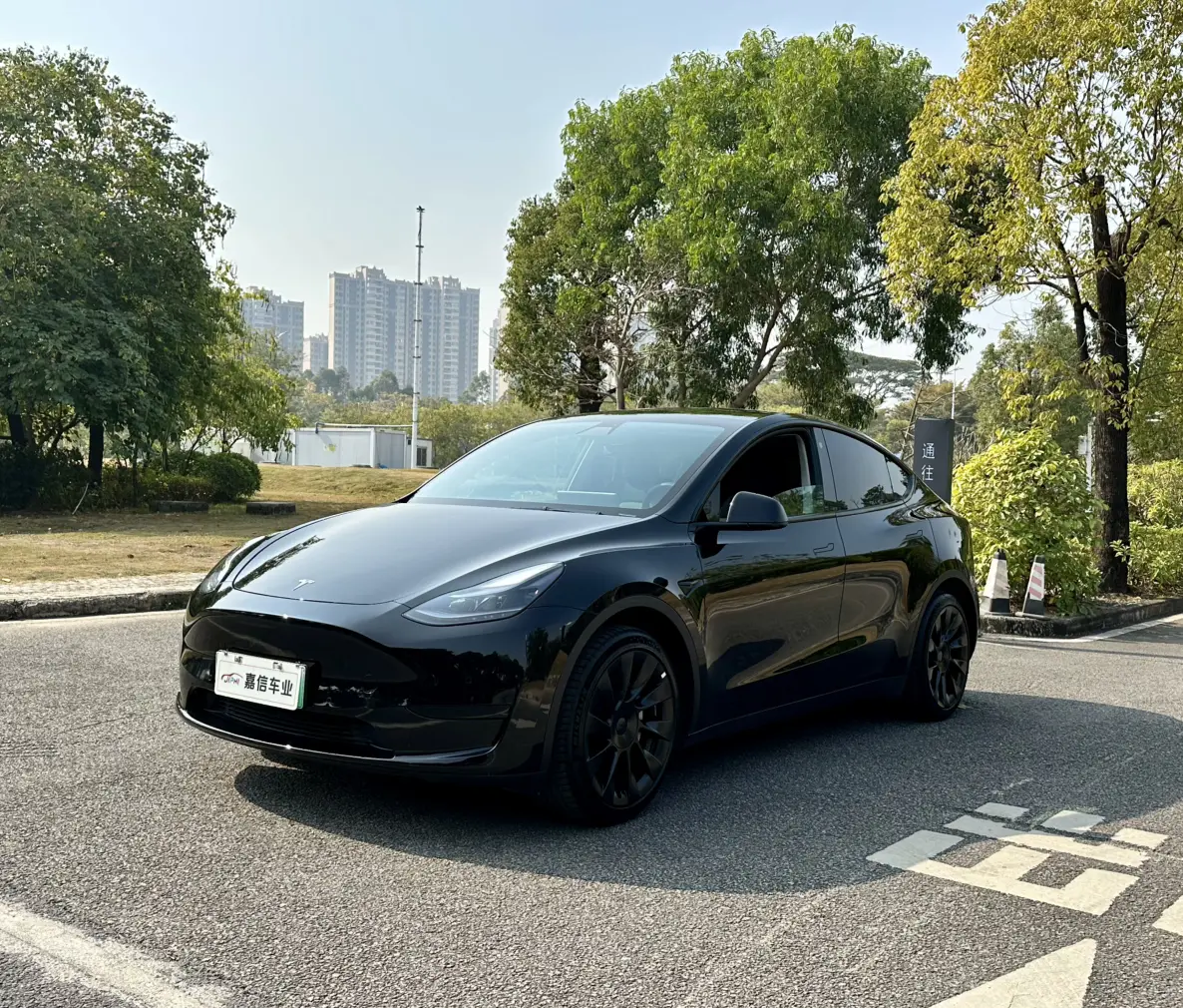 Tesla Model Y  из Китая