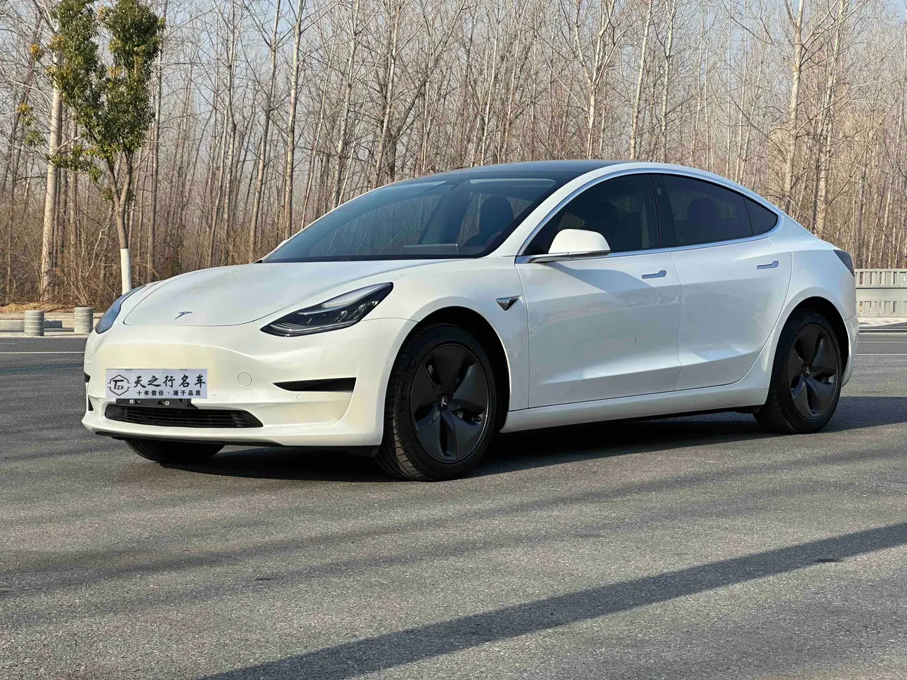 Tesla Model 3  из Китая