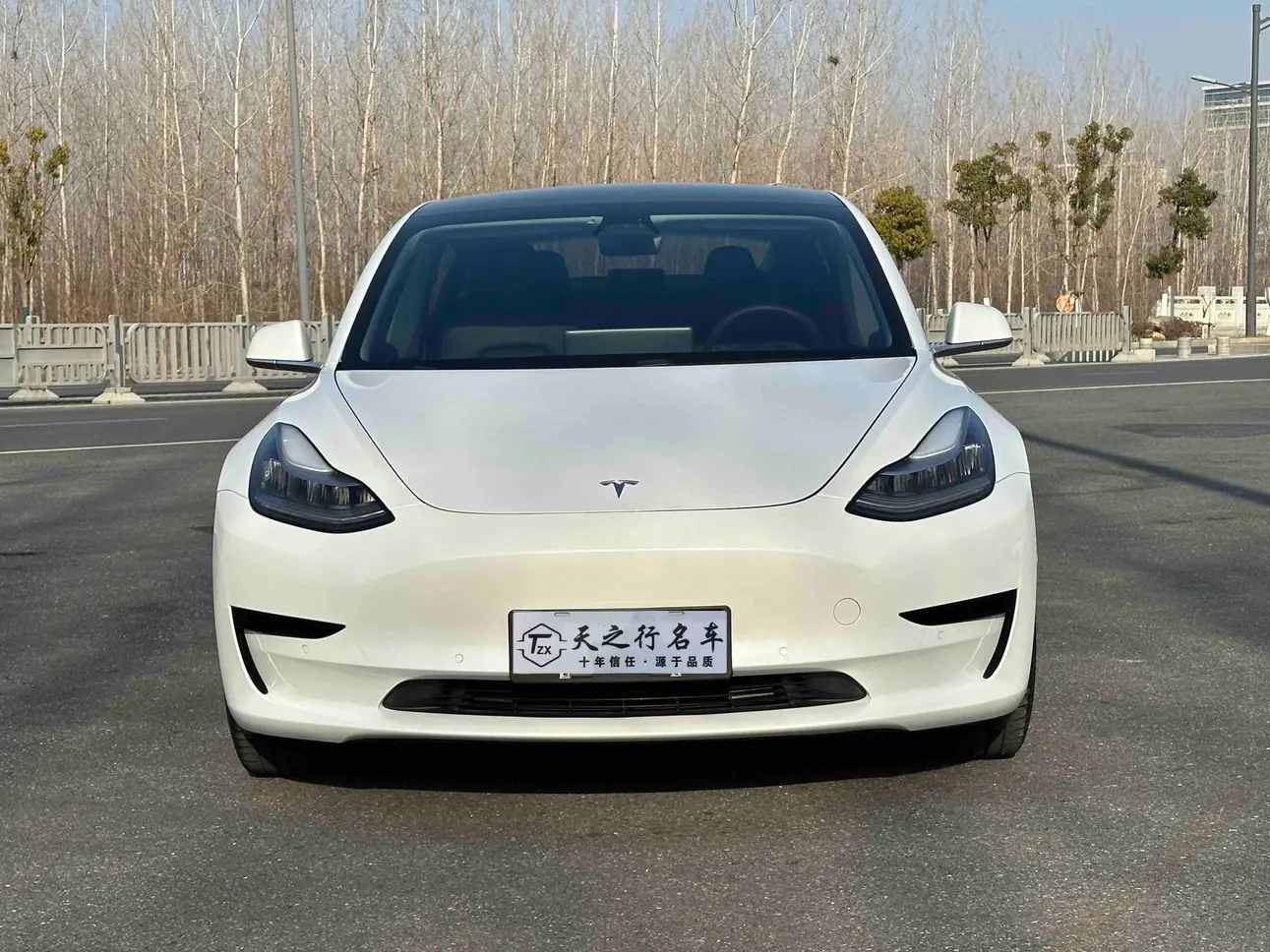 Tesla Model 3  из Китая