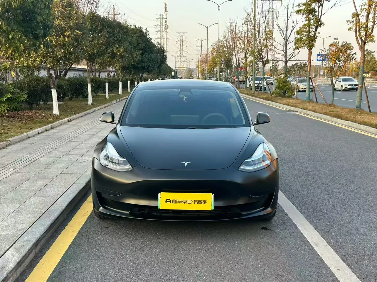 Tesla Model 3  из Китая