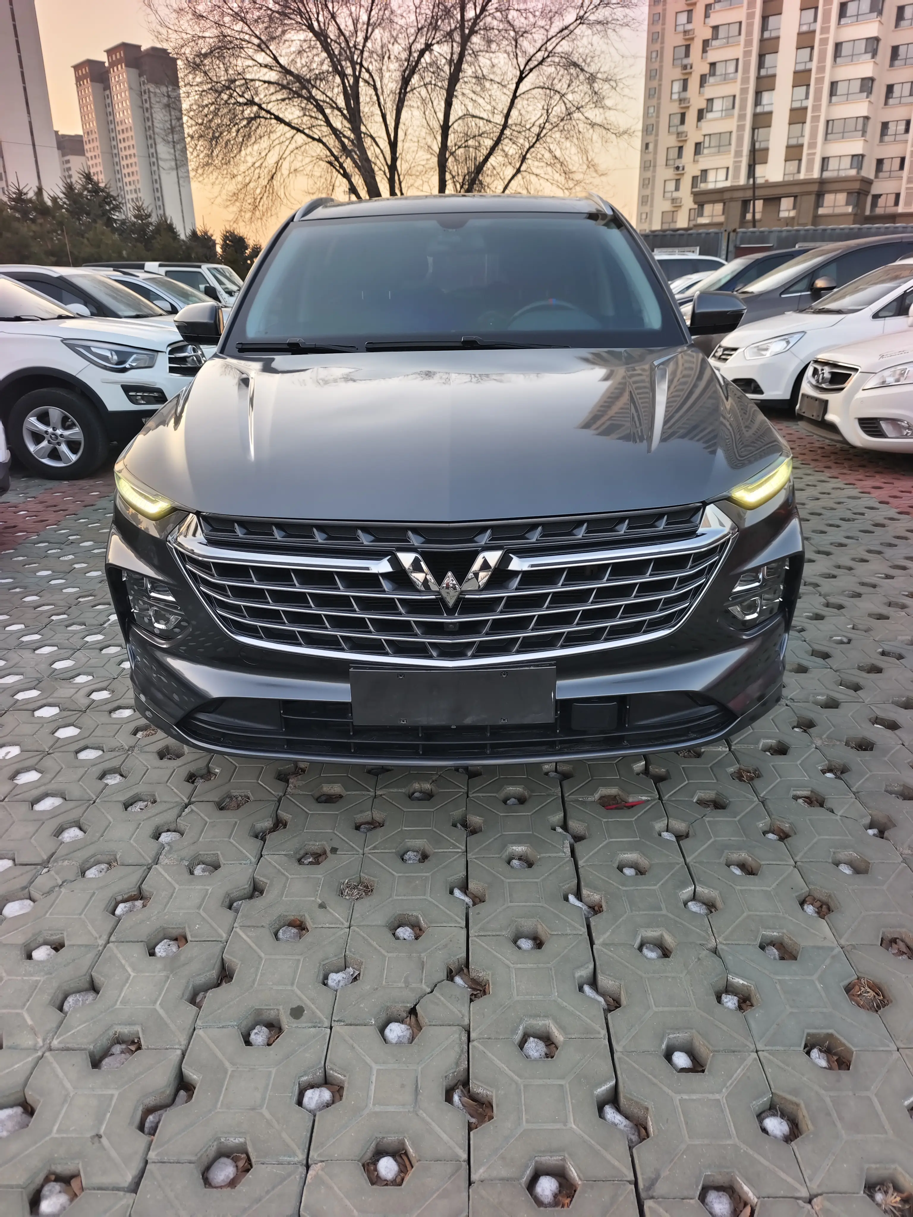 Wuling Capgemini Victory  из Китая