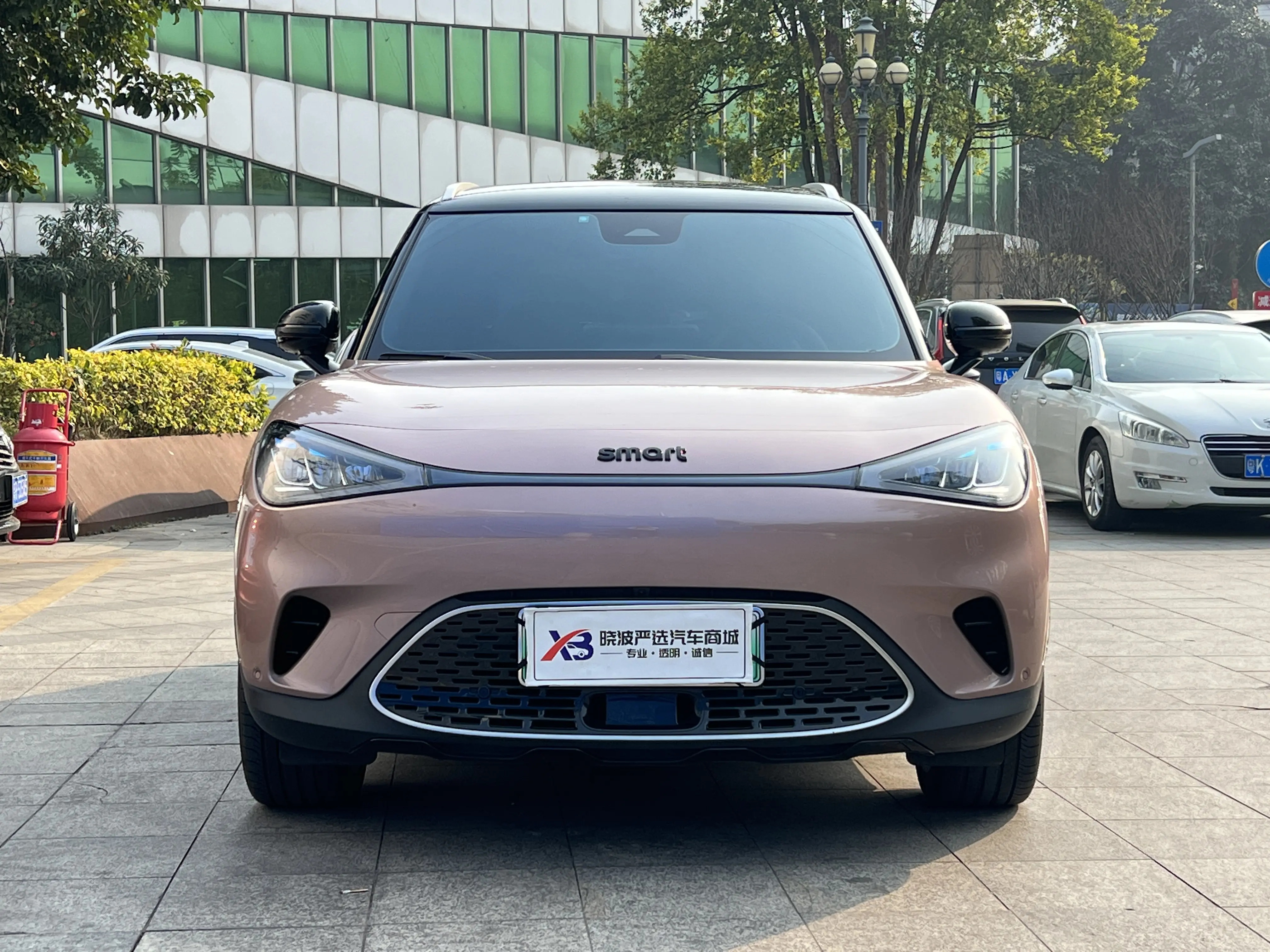 Smart elf #1  из Китая