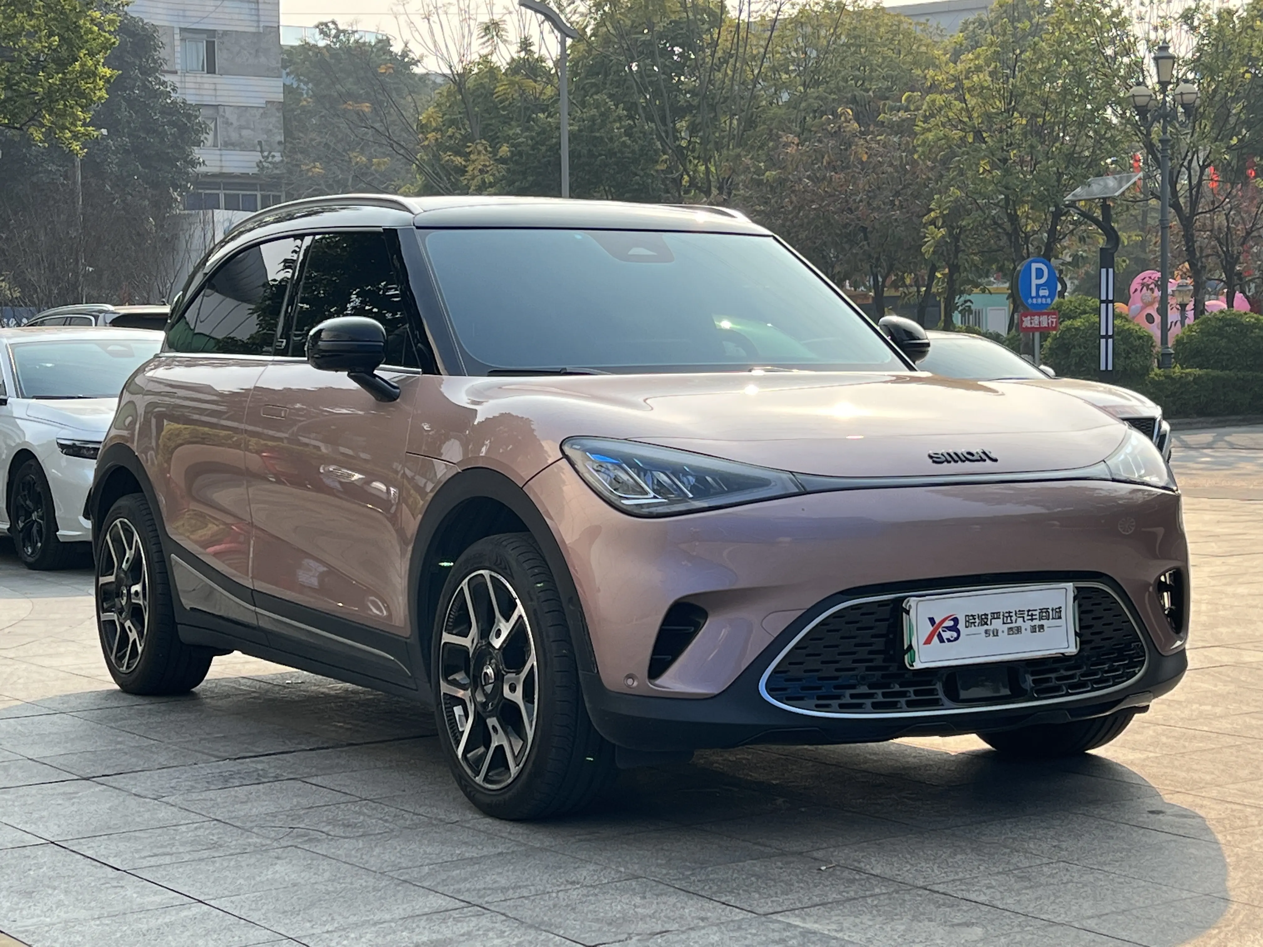 Smart elf #1  из Китая