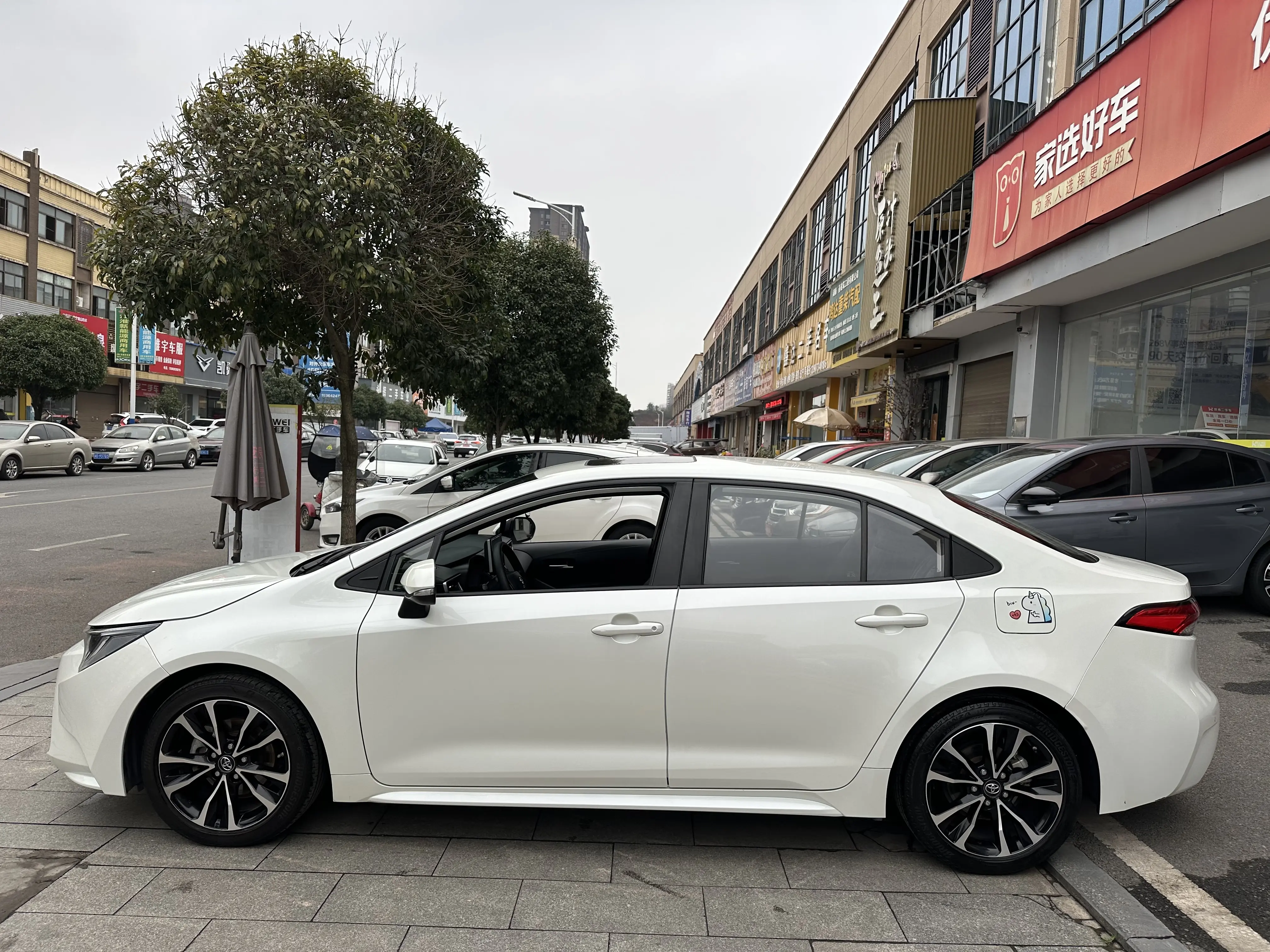 Toyota Levin (Lei Ling)  из Китая