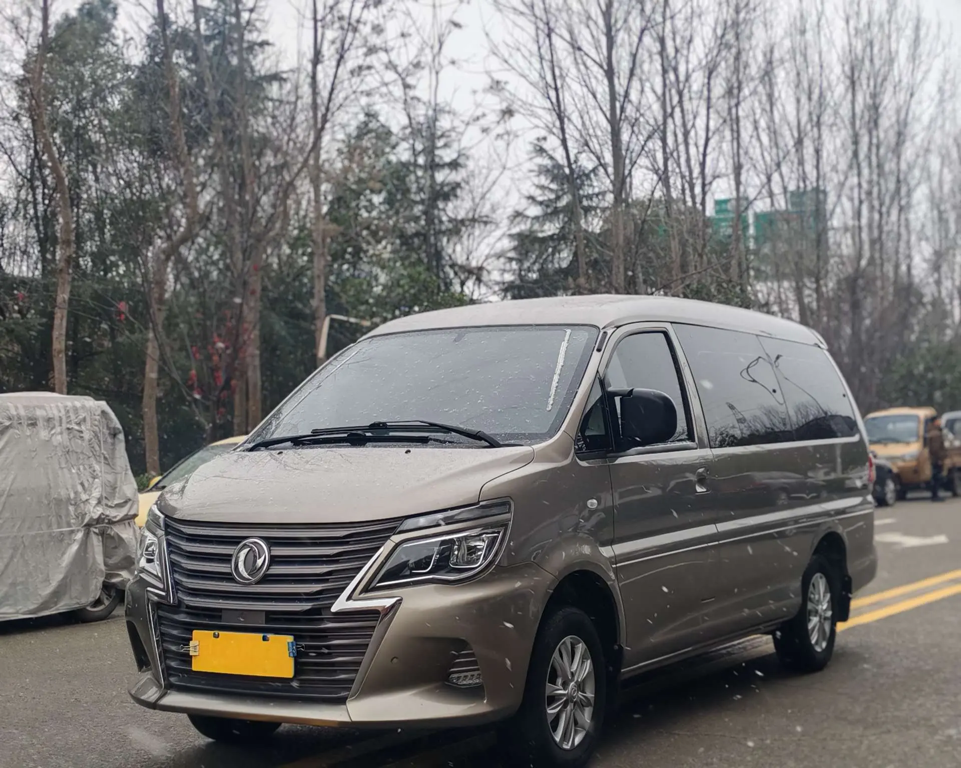 Forthing Lingzhi  из Китая