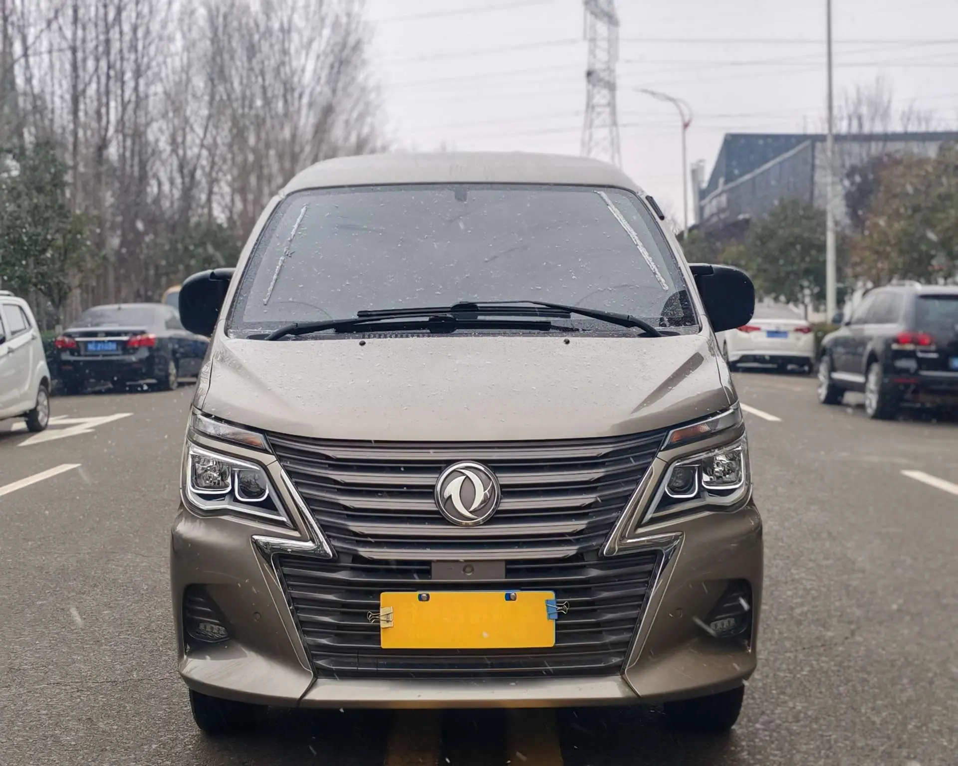 Forthing Lingzhi  из Китая