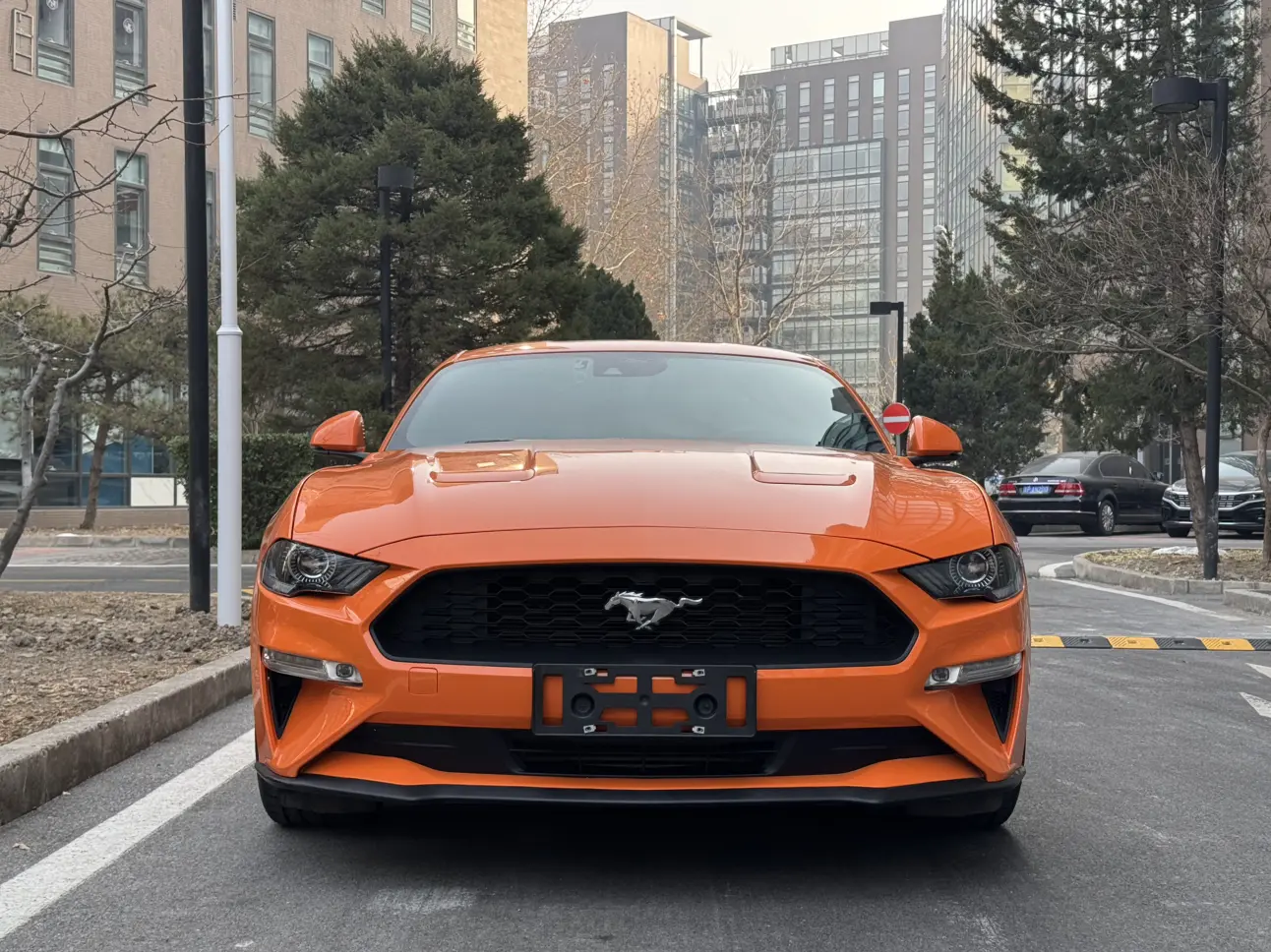 Ford Mustang  из Китая