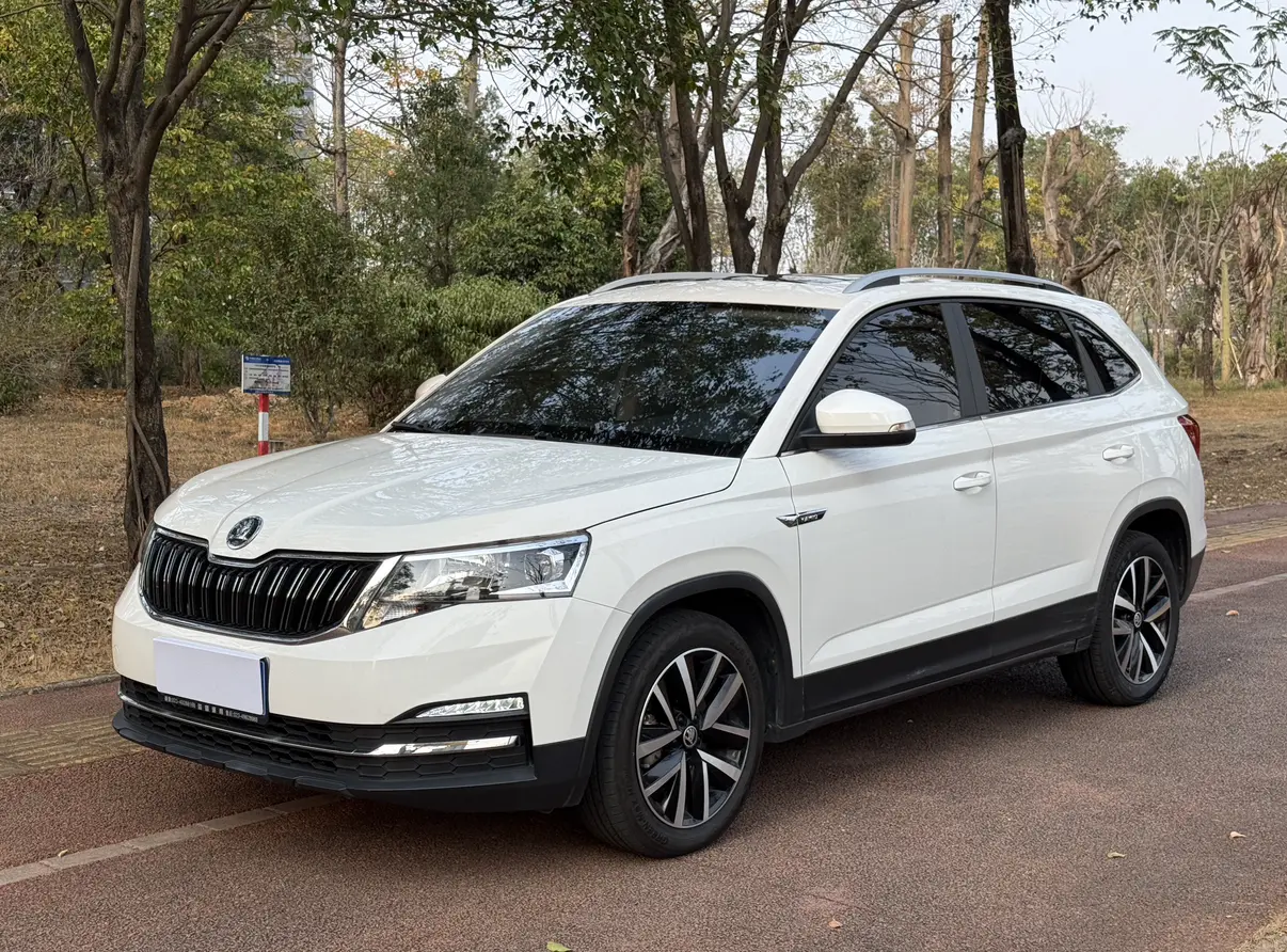 Skoda Comek  из Китая