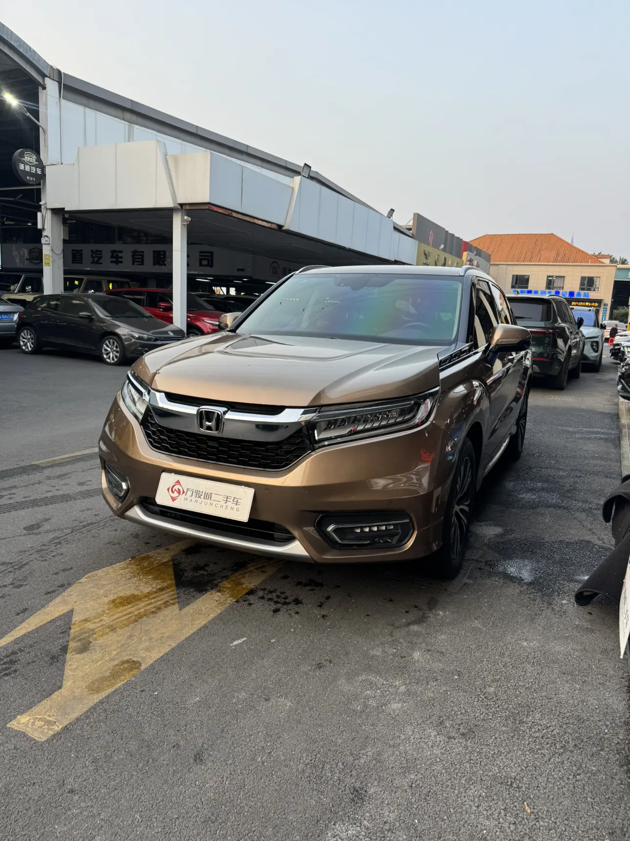 Honda Avancier (Crown Road)  из Китая