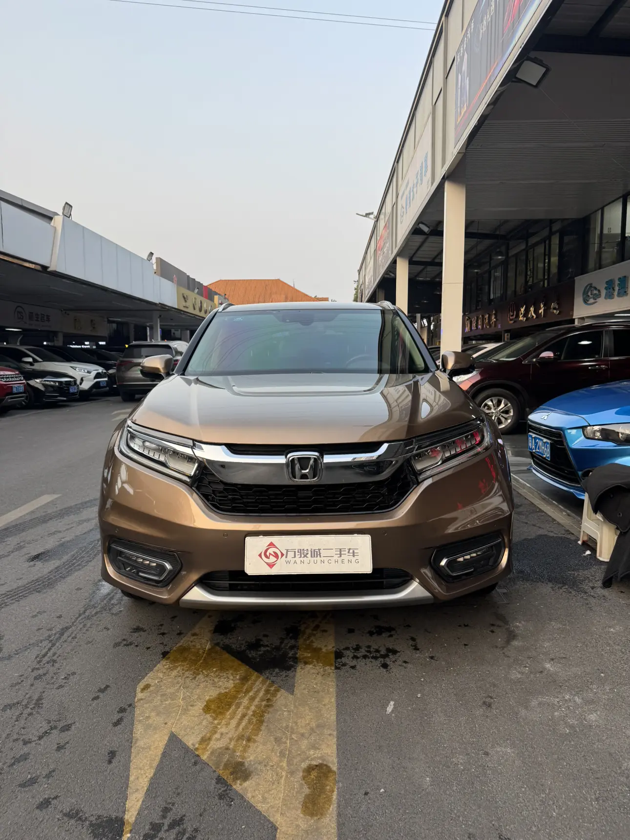Honda Avancier (Crown Road)  из Китая