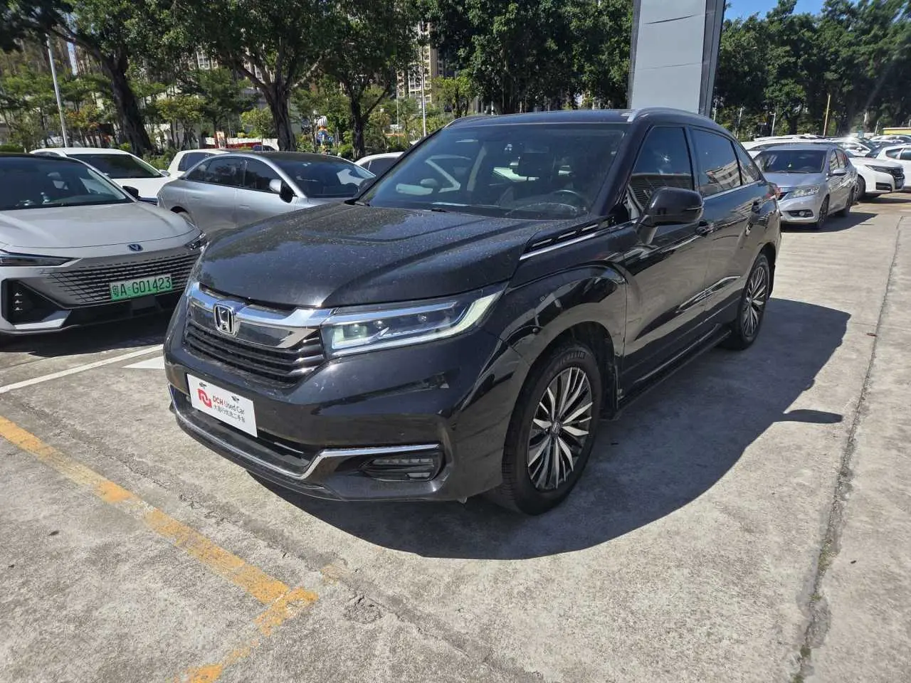 Honda Avancier (Crown Road)  из Китая
