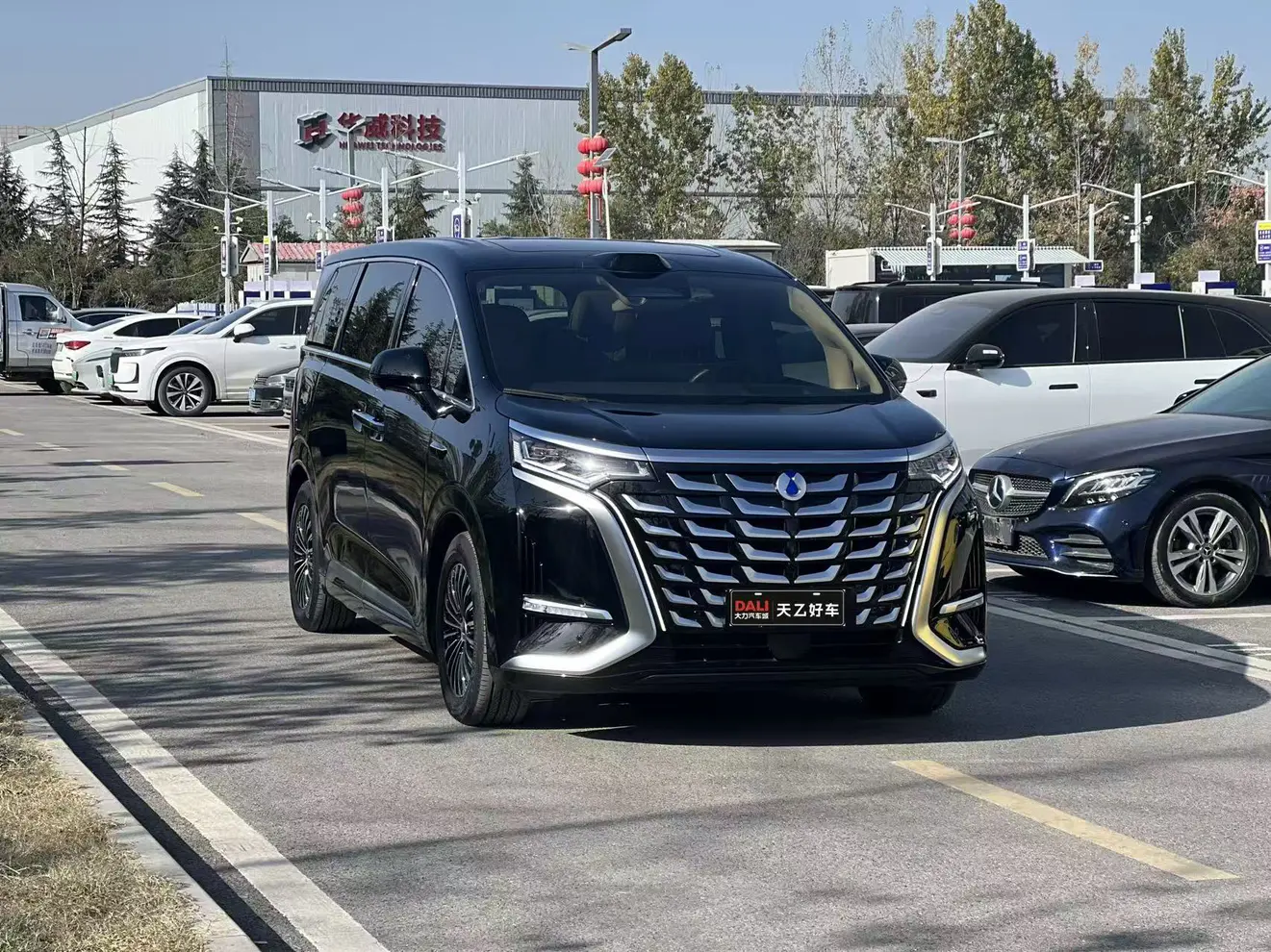 Denza D9 DM  из Китая