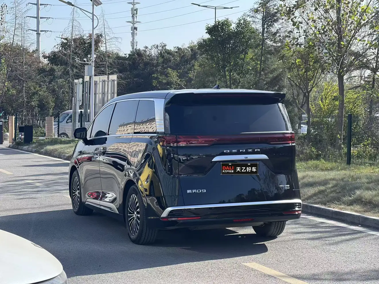 Denza D9 DM  из Китая