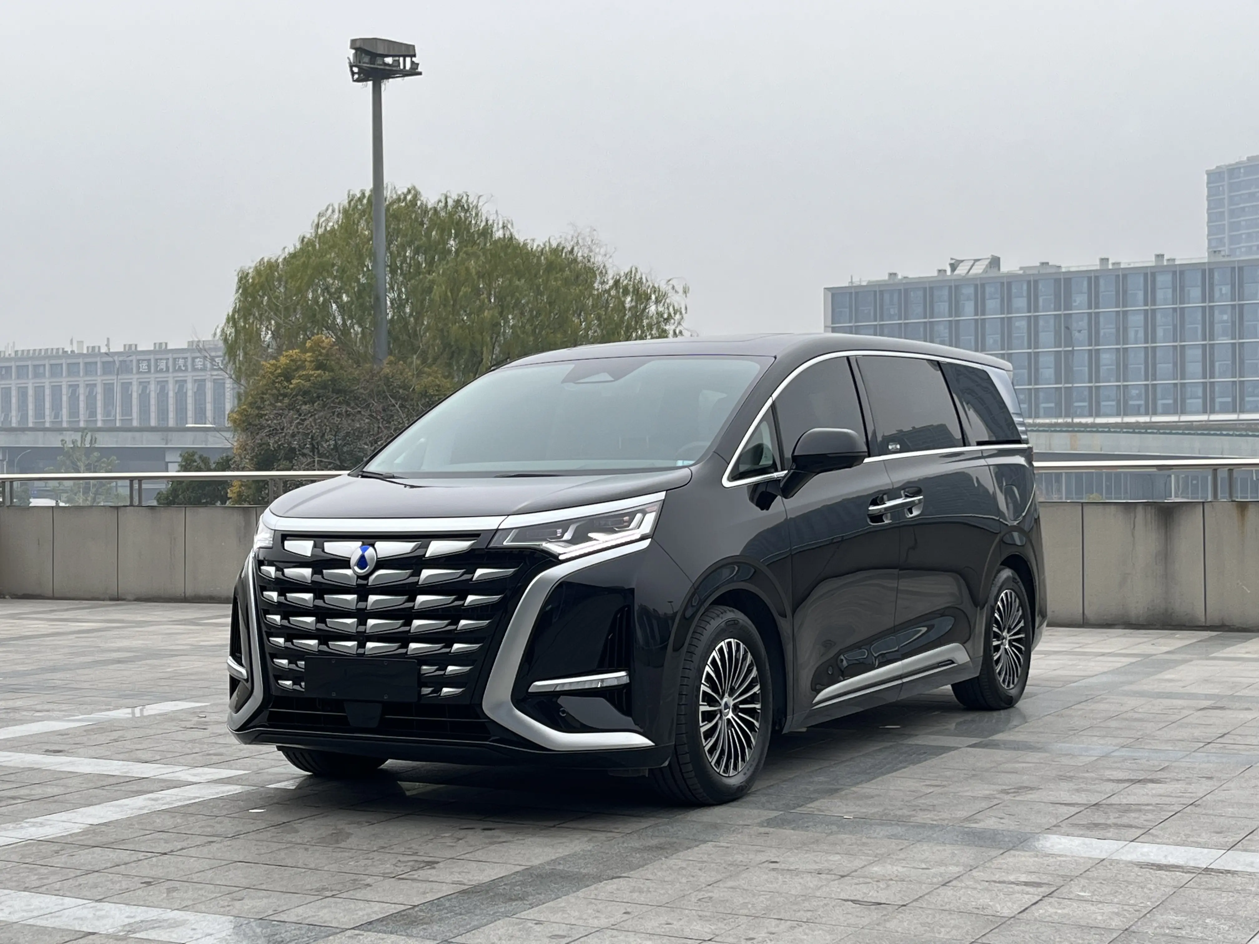 Denza D9 DM  из Китая