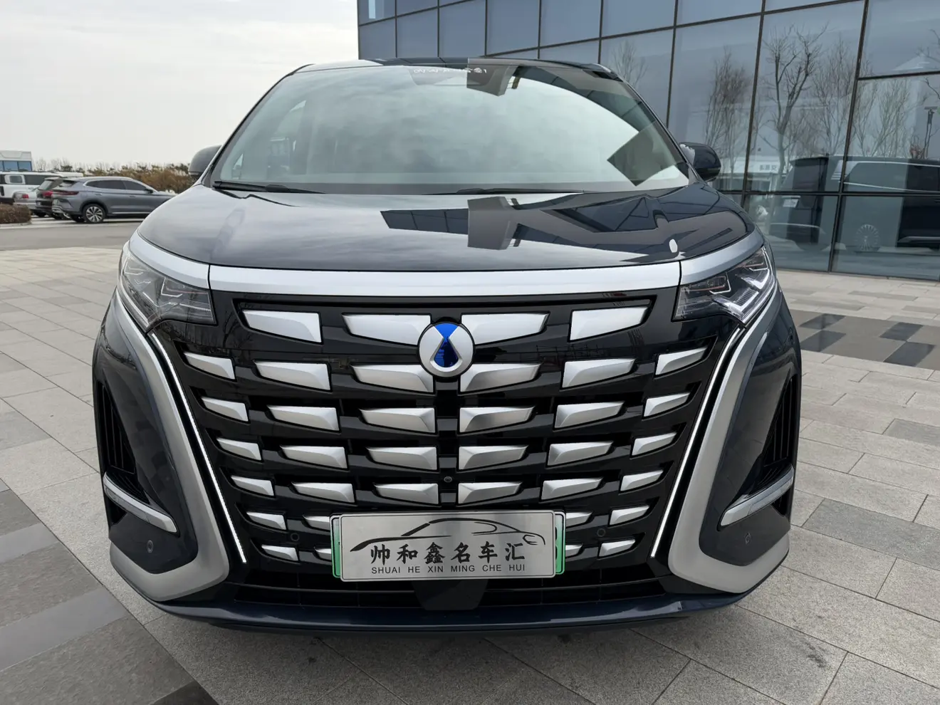 Denza D9 DM  из Китая