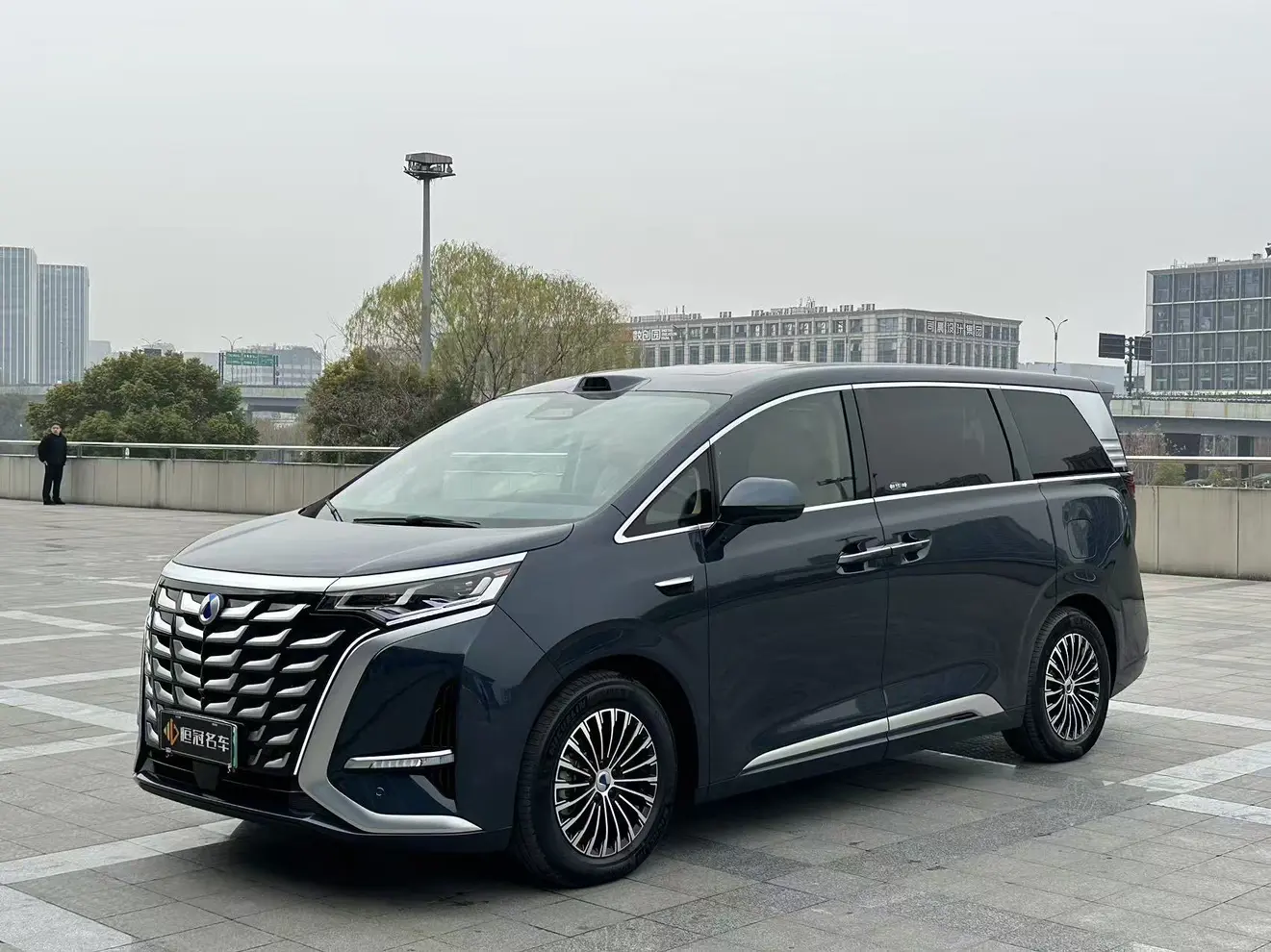 Denza D9 DM  из Китая