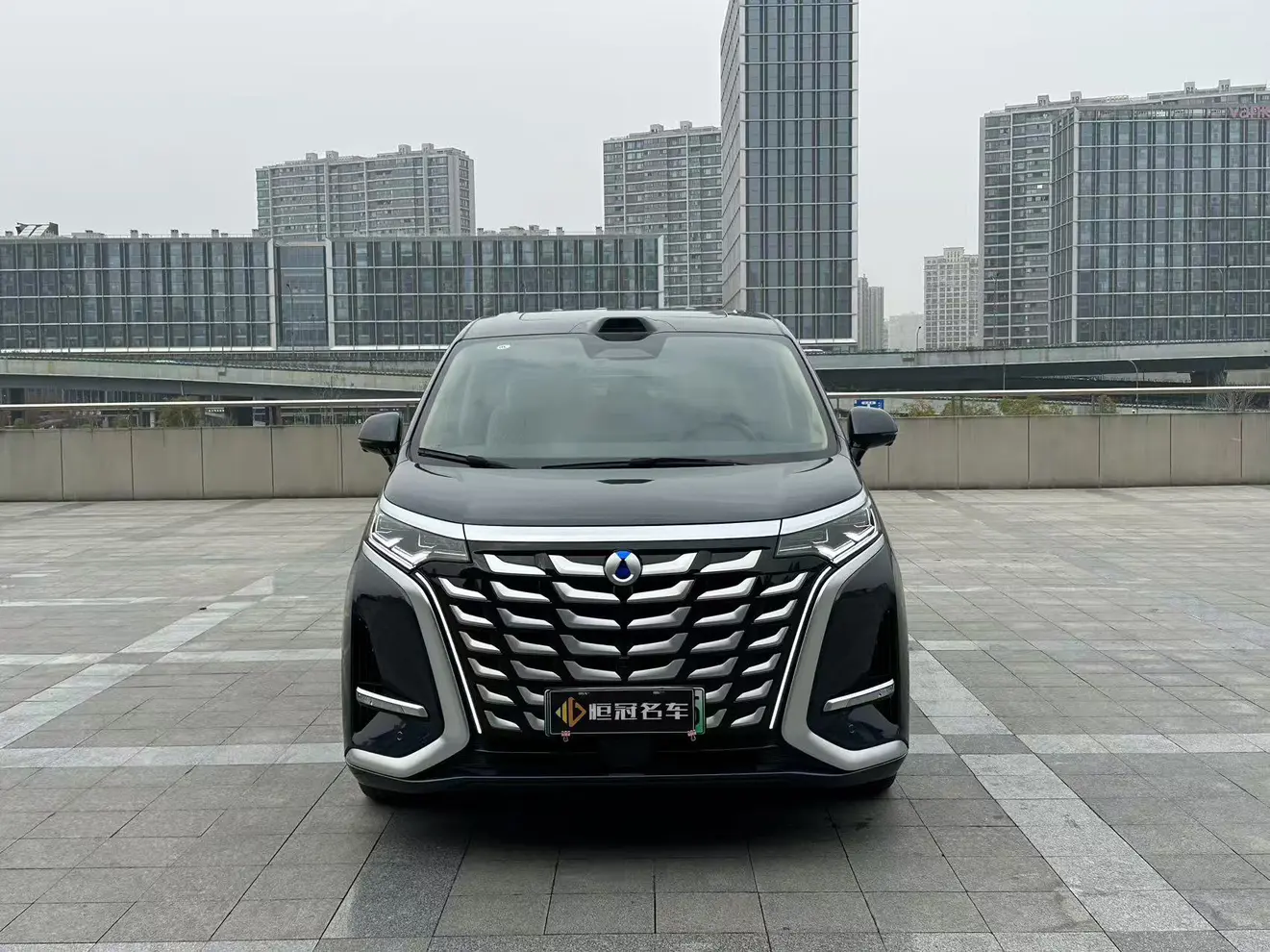 Denza D9 DM  из Китая