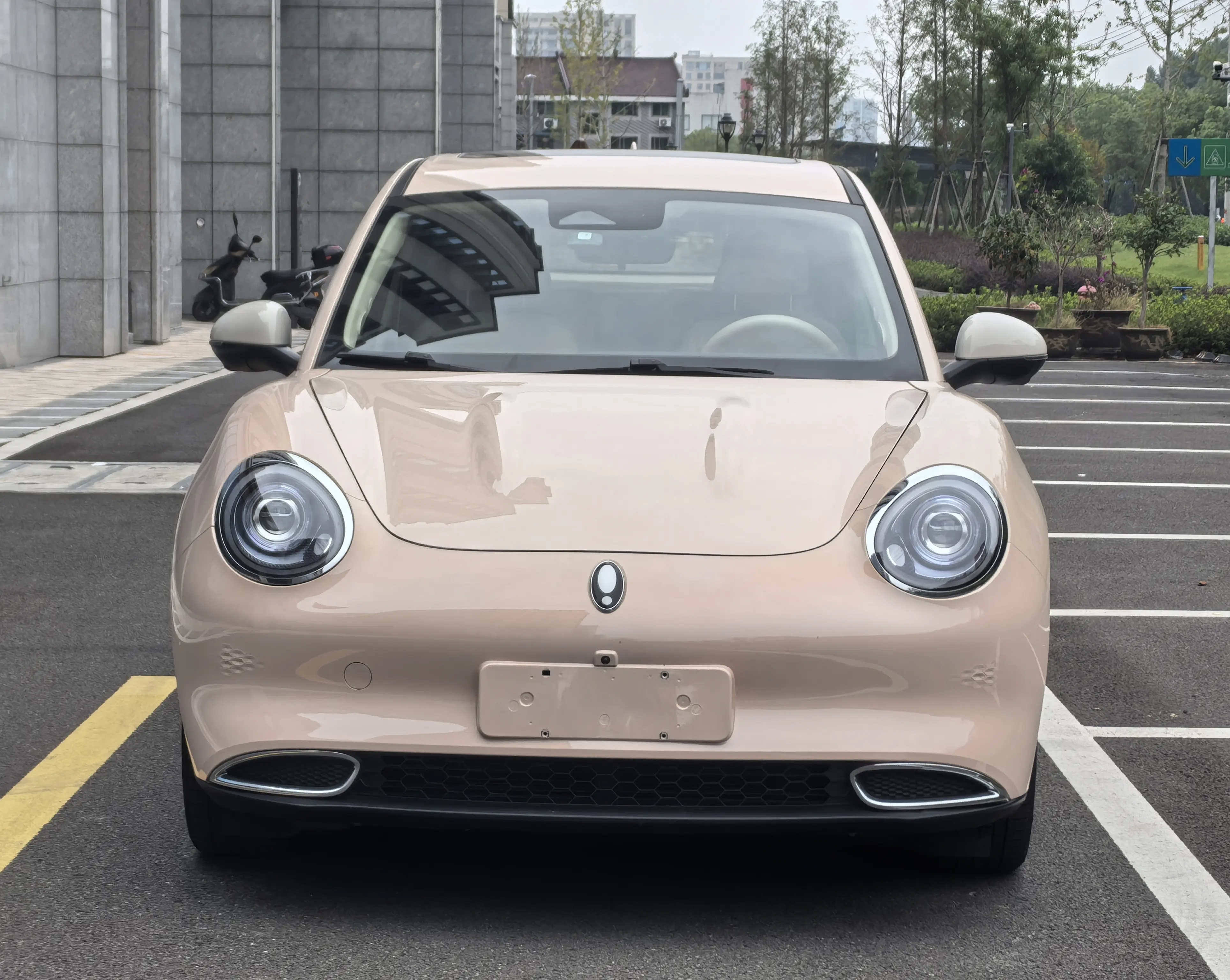 ORA Euler good cat  из Китая