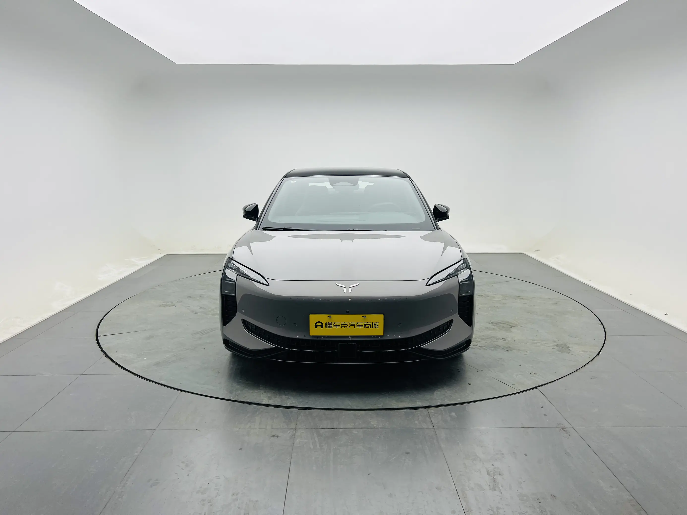 Hongqi EH7  из Китая