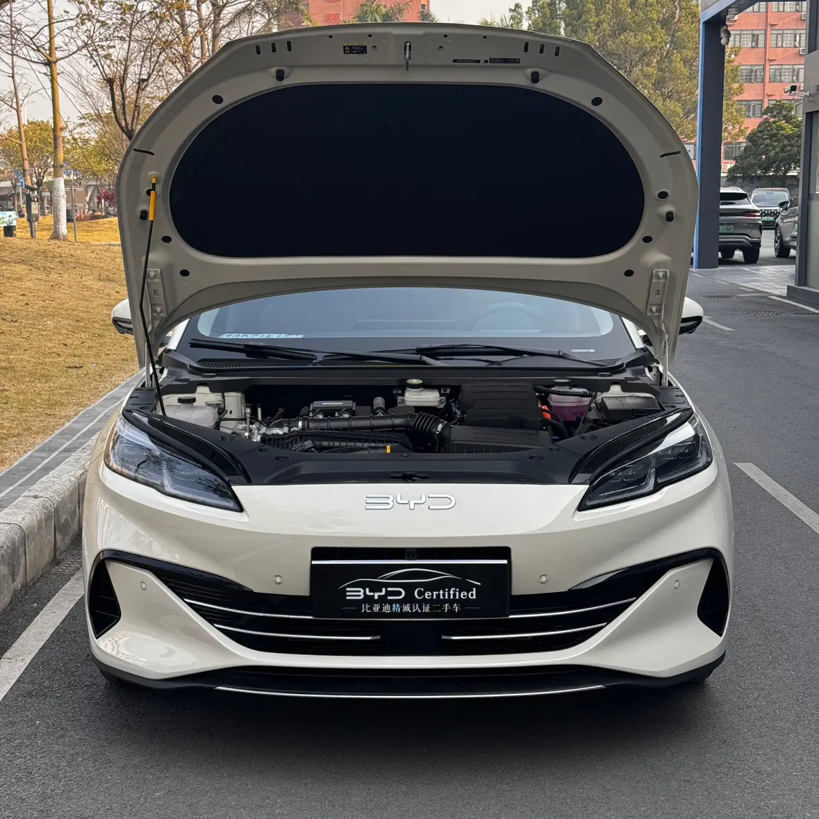 BYD Seal 06DM Travel Edition  из Китая