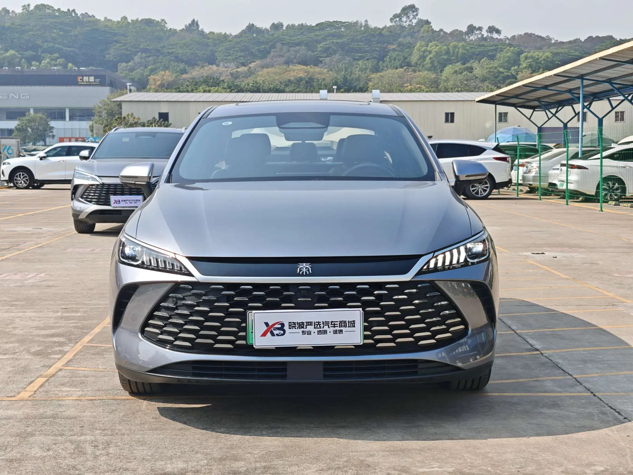 BYD Qin PLUS DM  из Китая