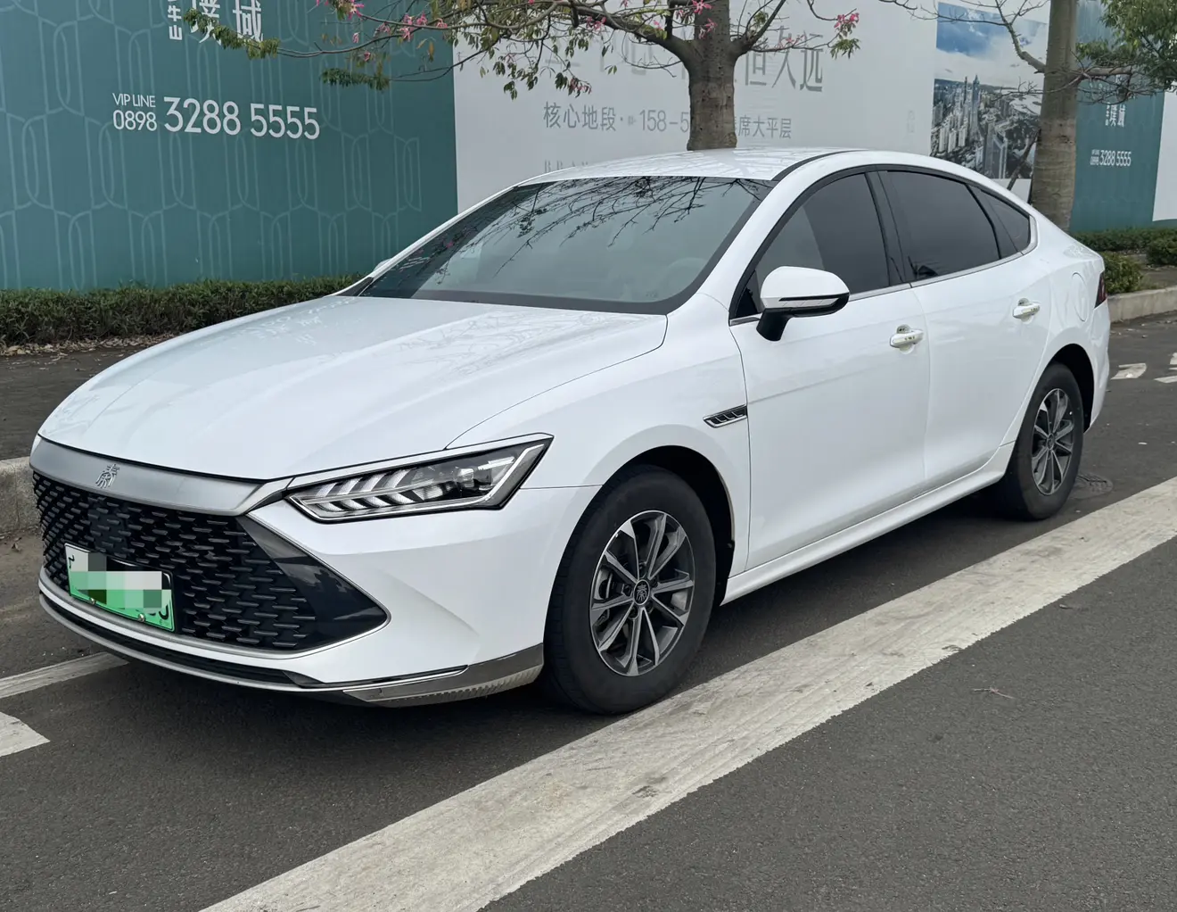 BYD Qin PLUS DM  из Китая