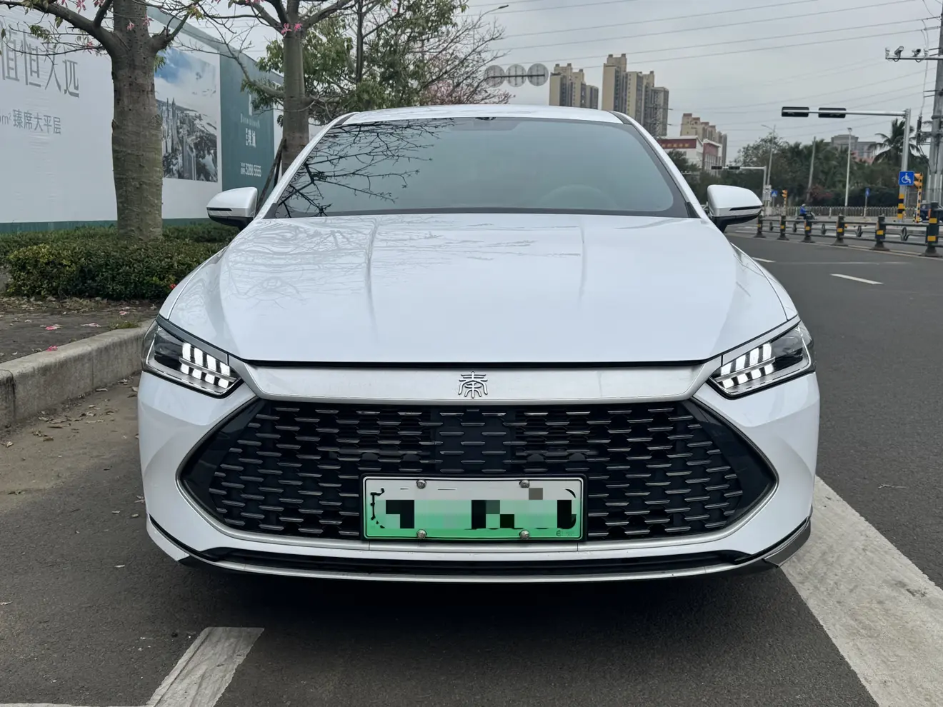 BYD Qin PLUS DM  из Китая